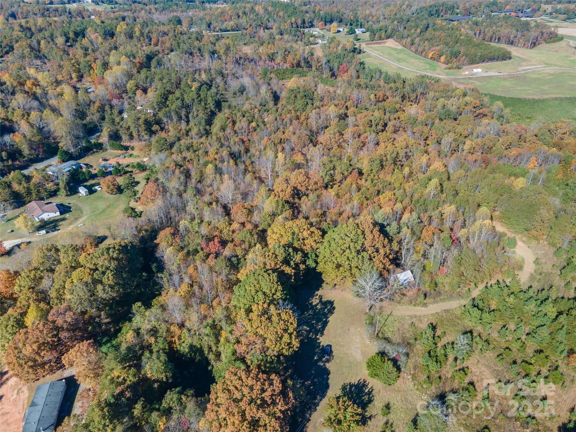523 Mcdade Road - Photo 10