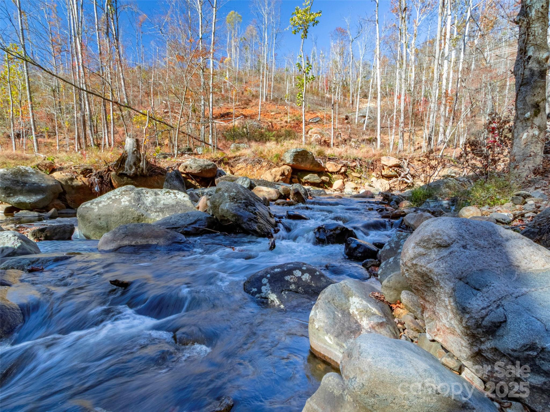 90 Rogers Creek Drive - Photo 48