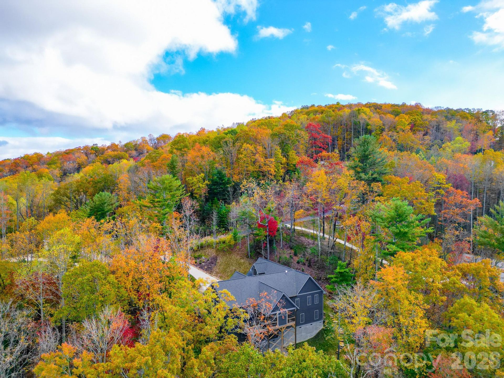 250 Judson Ridge Road - Photo 19