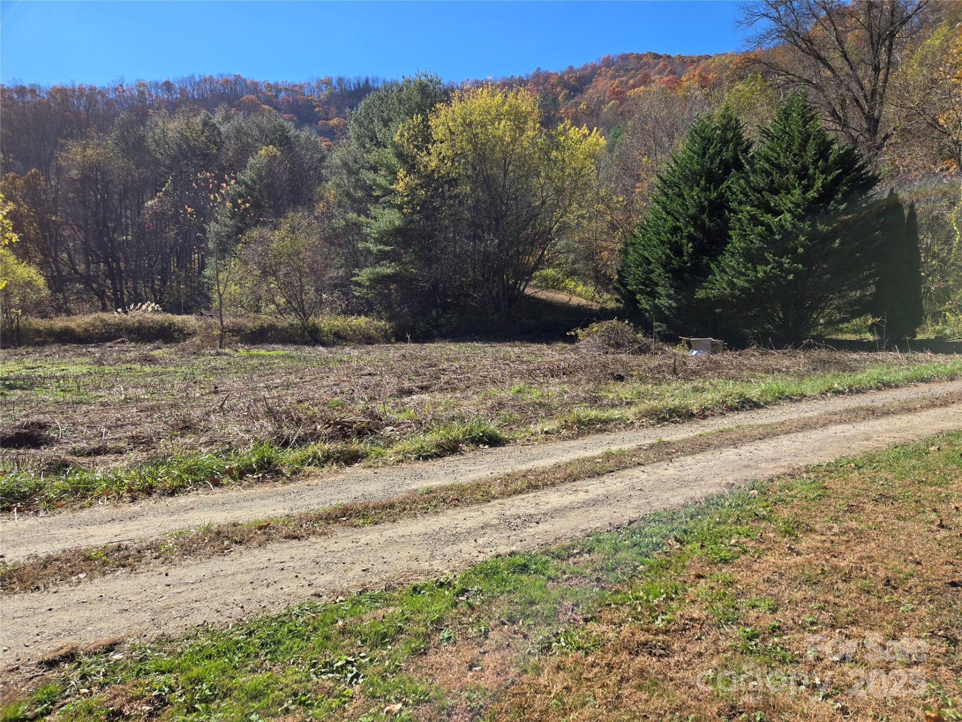 00 Eagles Trace - Photo 2