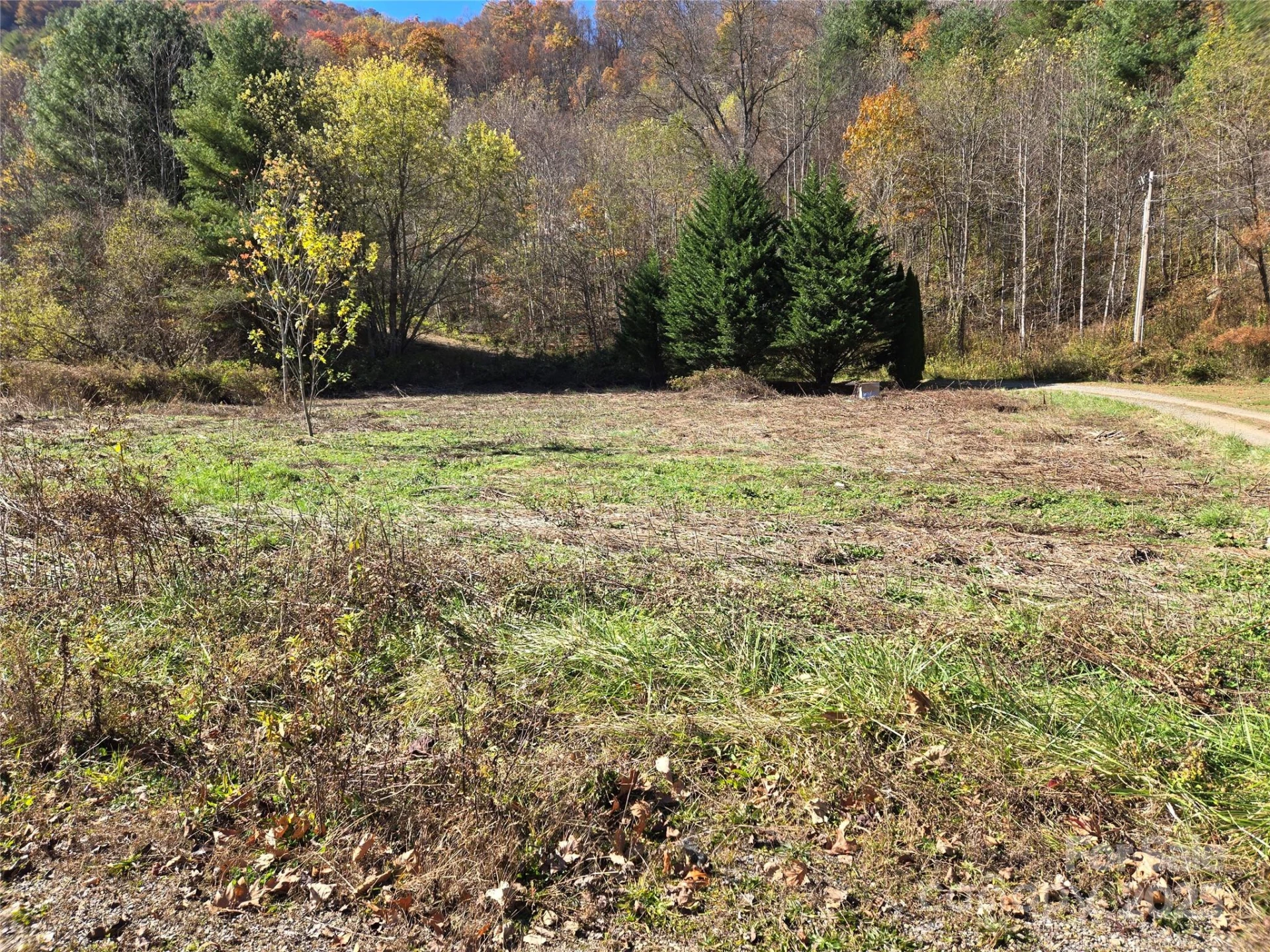 00 Eagles Trace - Photo 6