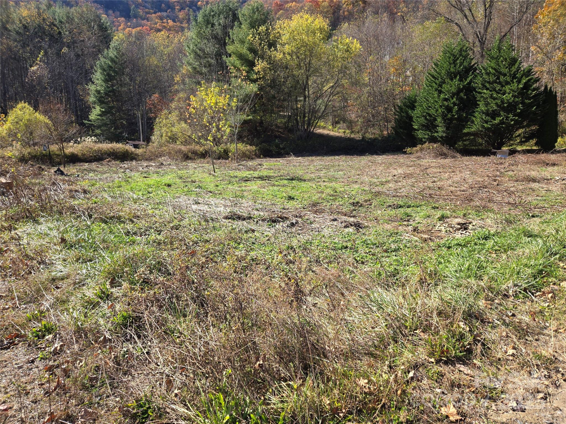 00 Eagles Trace - Photo 7