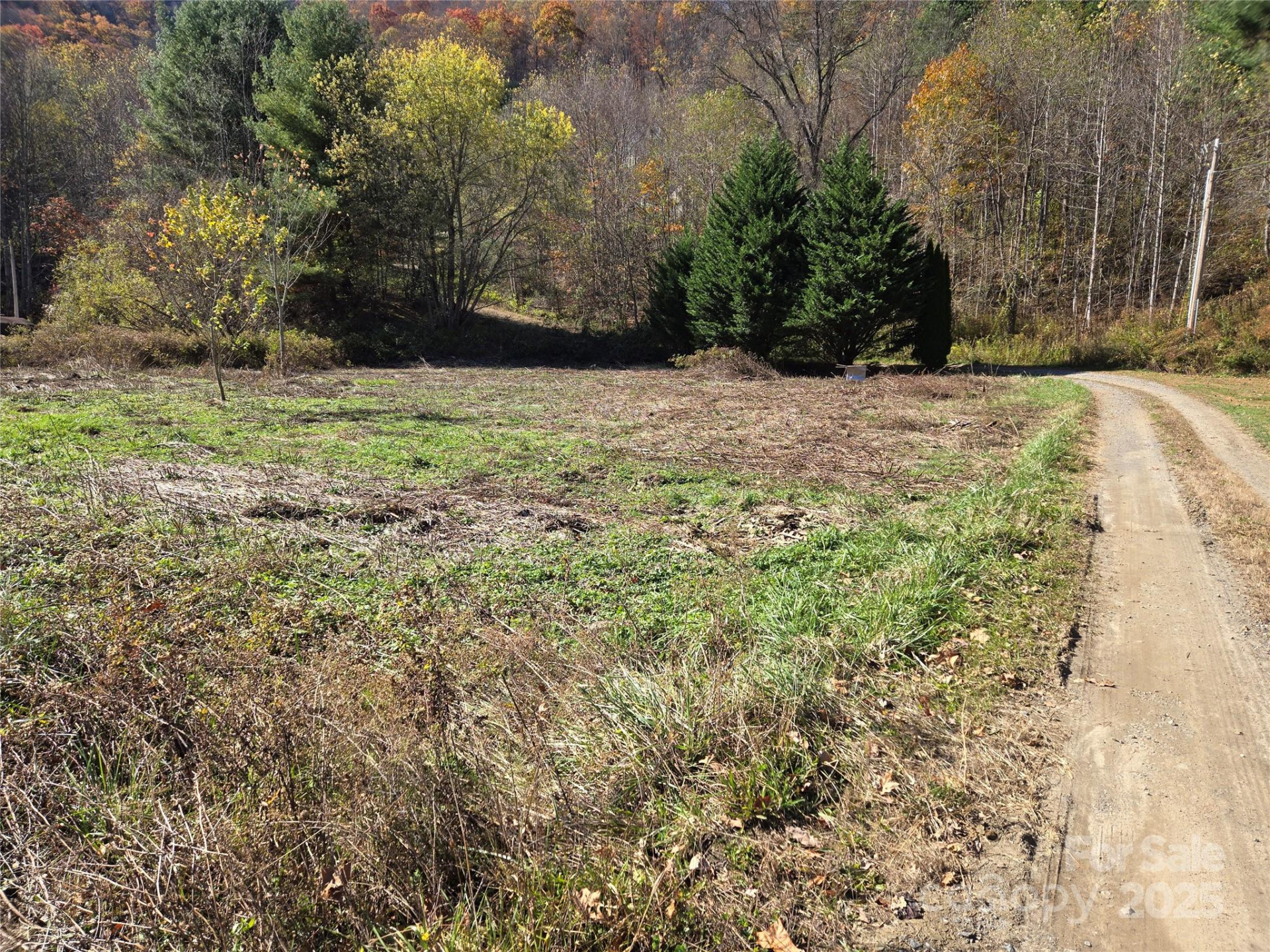 00 Eagles Trace - Photo 10