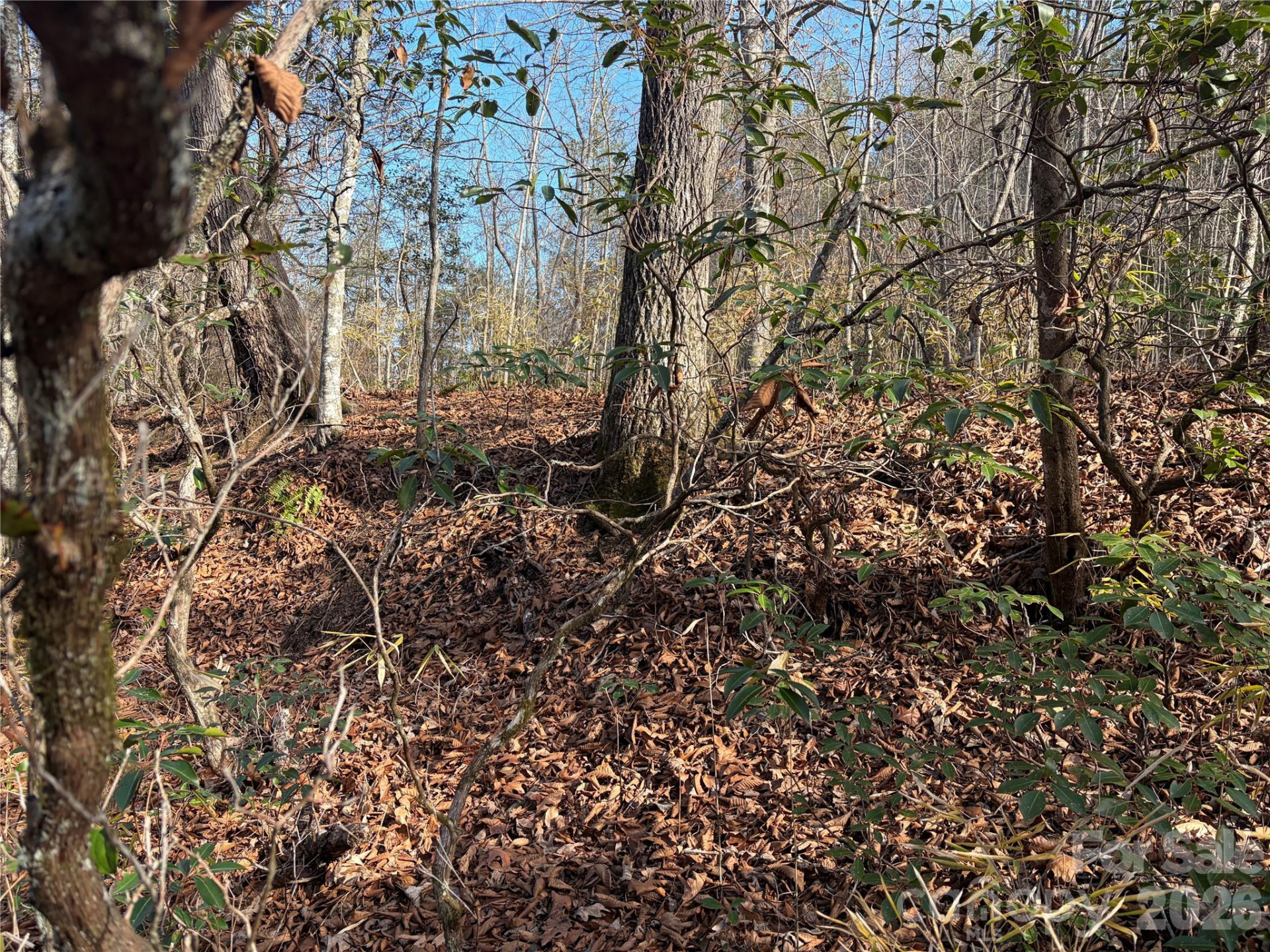 Lot 49 Harmony Grove Road #49 - Photo 3