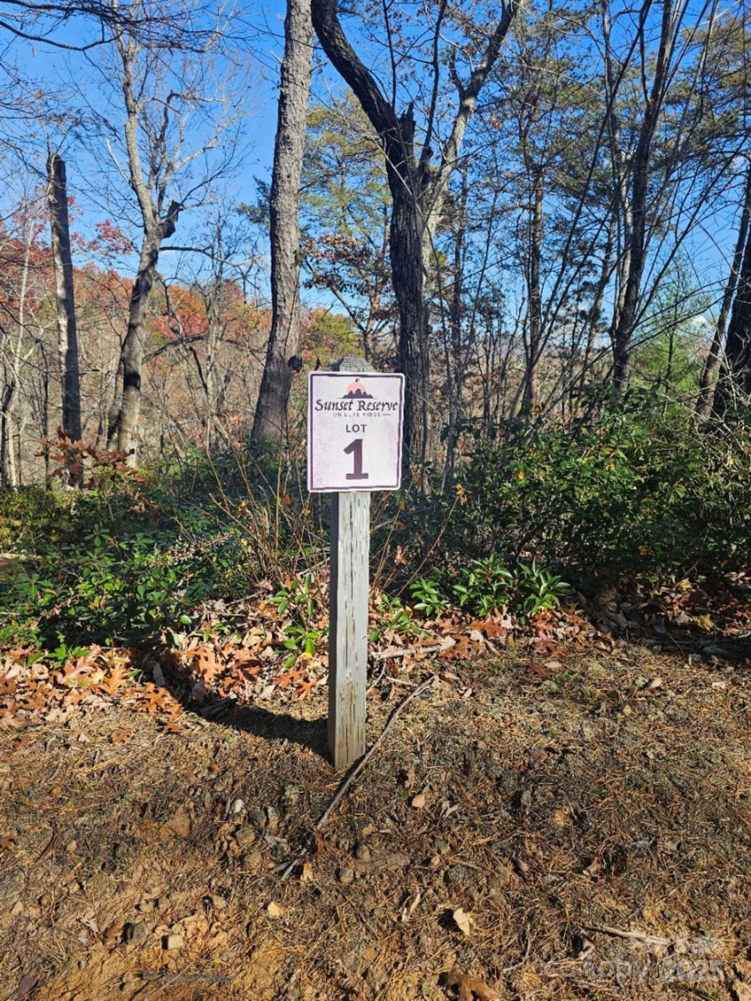 0 Lure Ridge Drive #1 - Photo 2