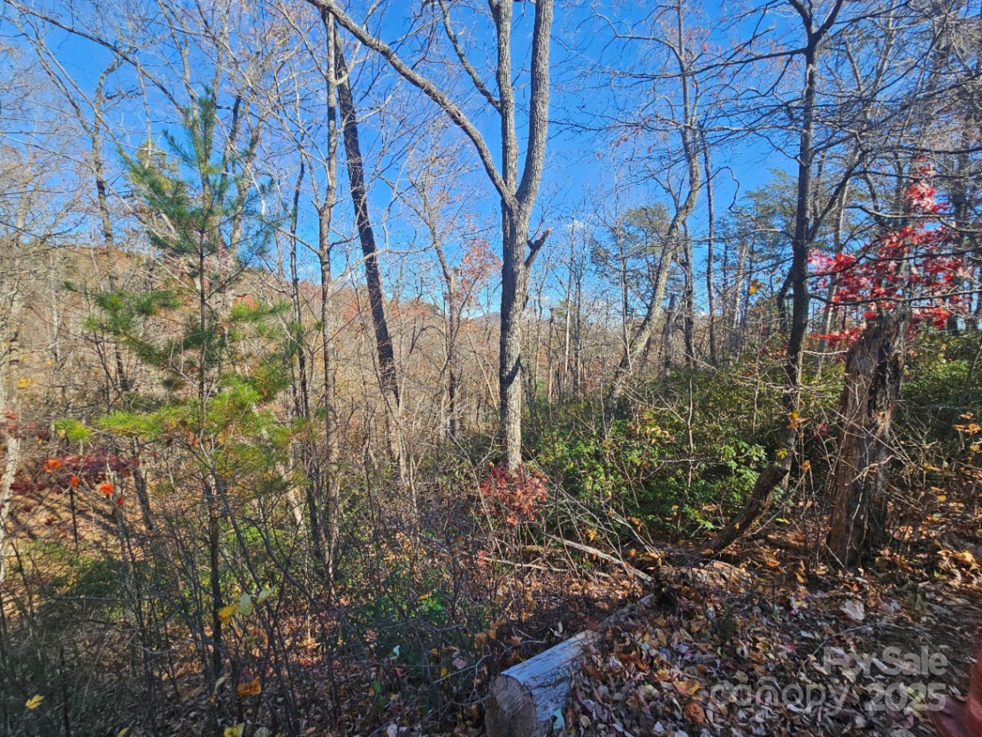 0 Lure Ridge Drive #1 - Photo 4