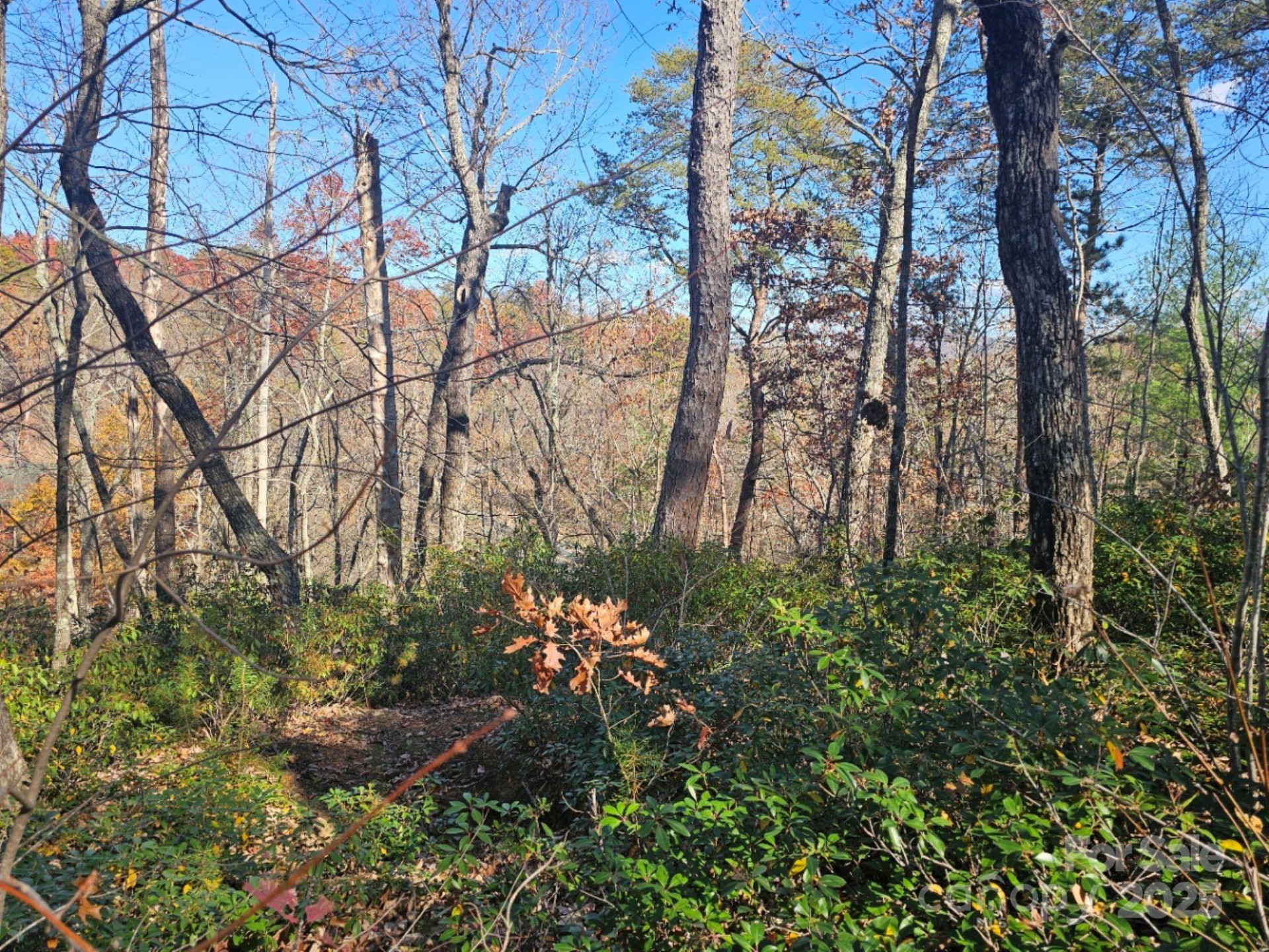 0 Lure Ridge Drive #1 - Photo 6