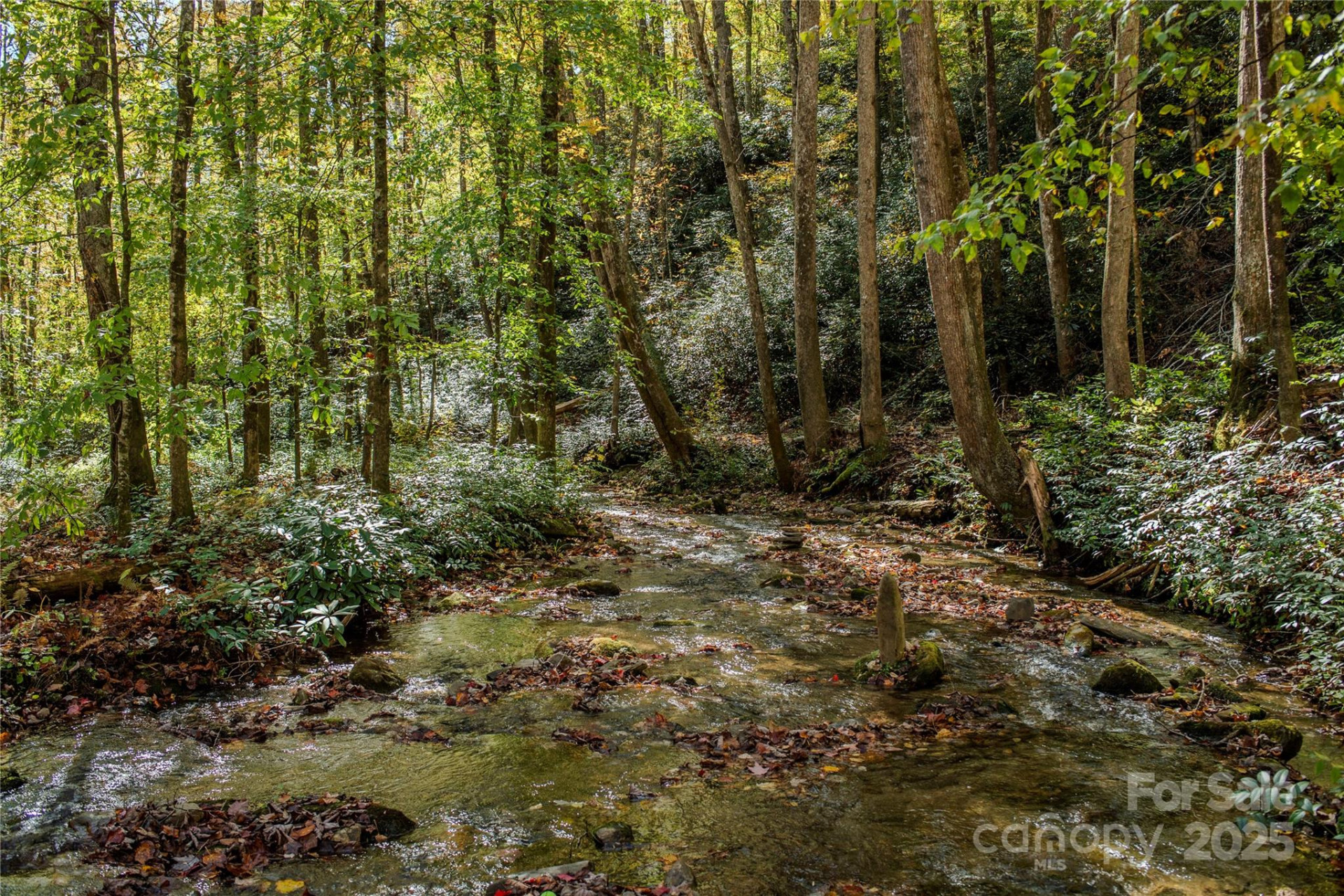 195 Still Waters Lane - Photo 16