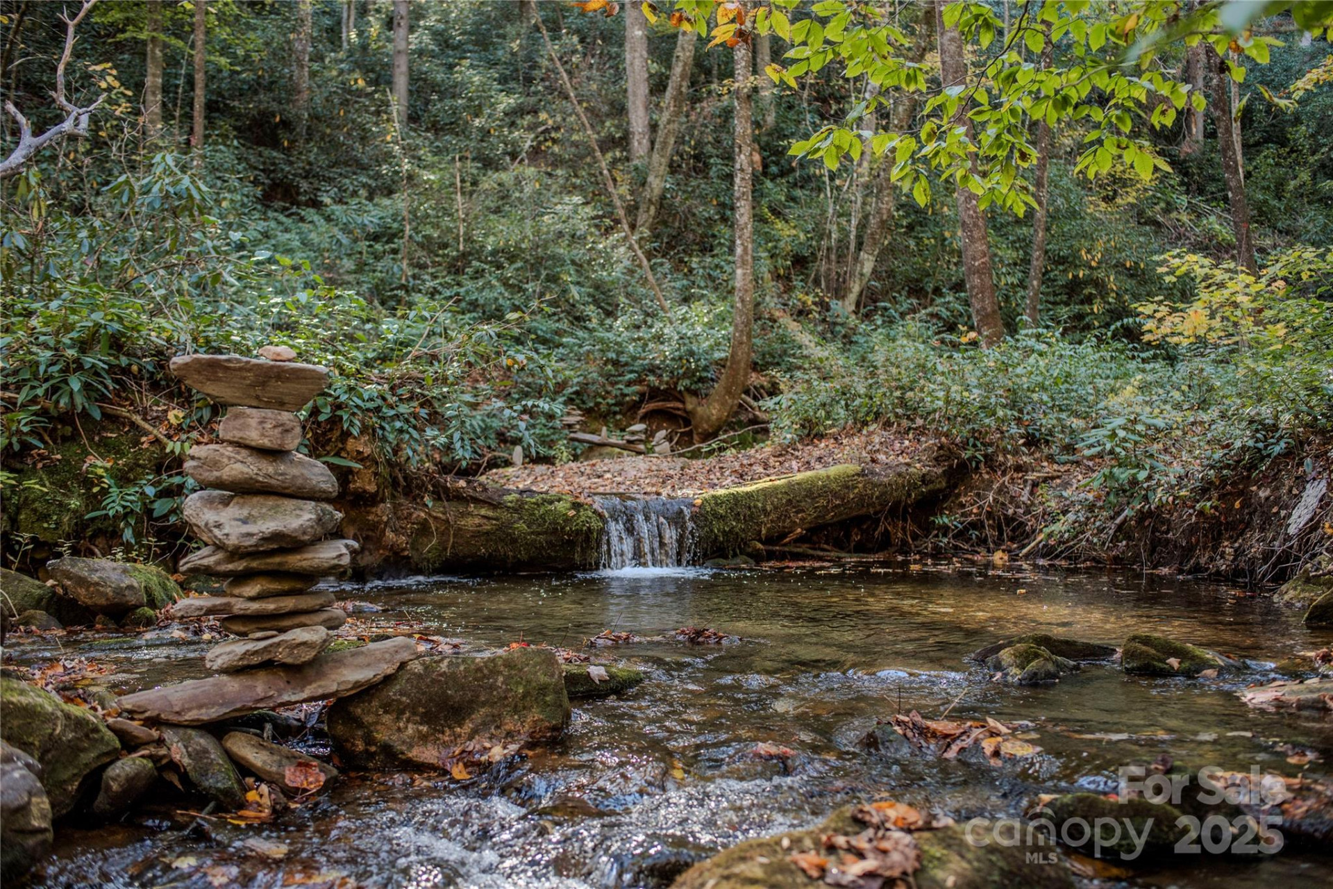 195 Still Waters Lane - Photo 40