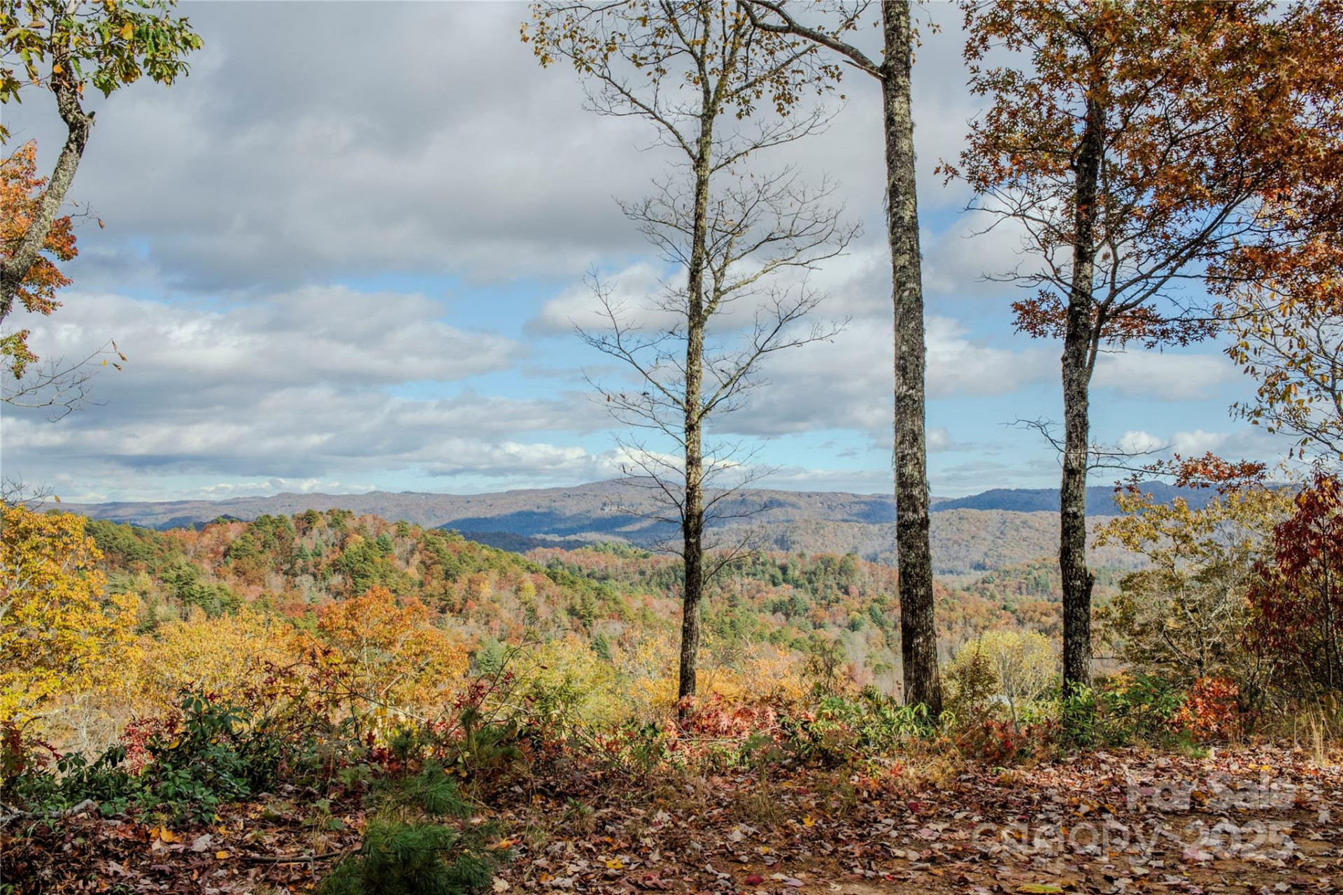 195 Still Waters Lane - Photo 5