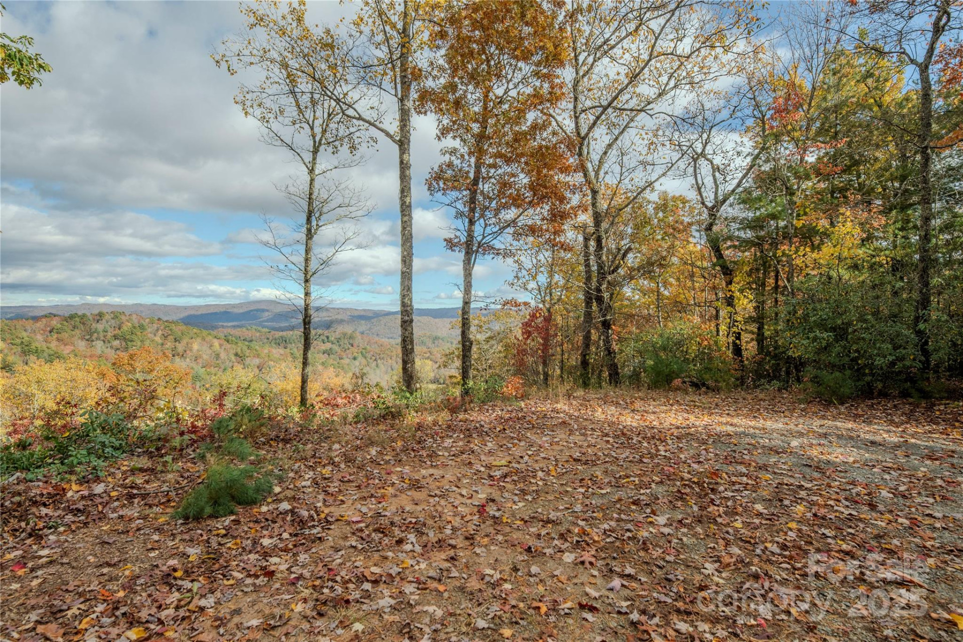 195 Still Waters Lane - Photo 6