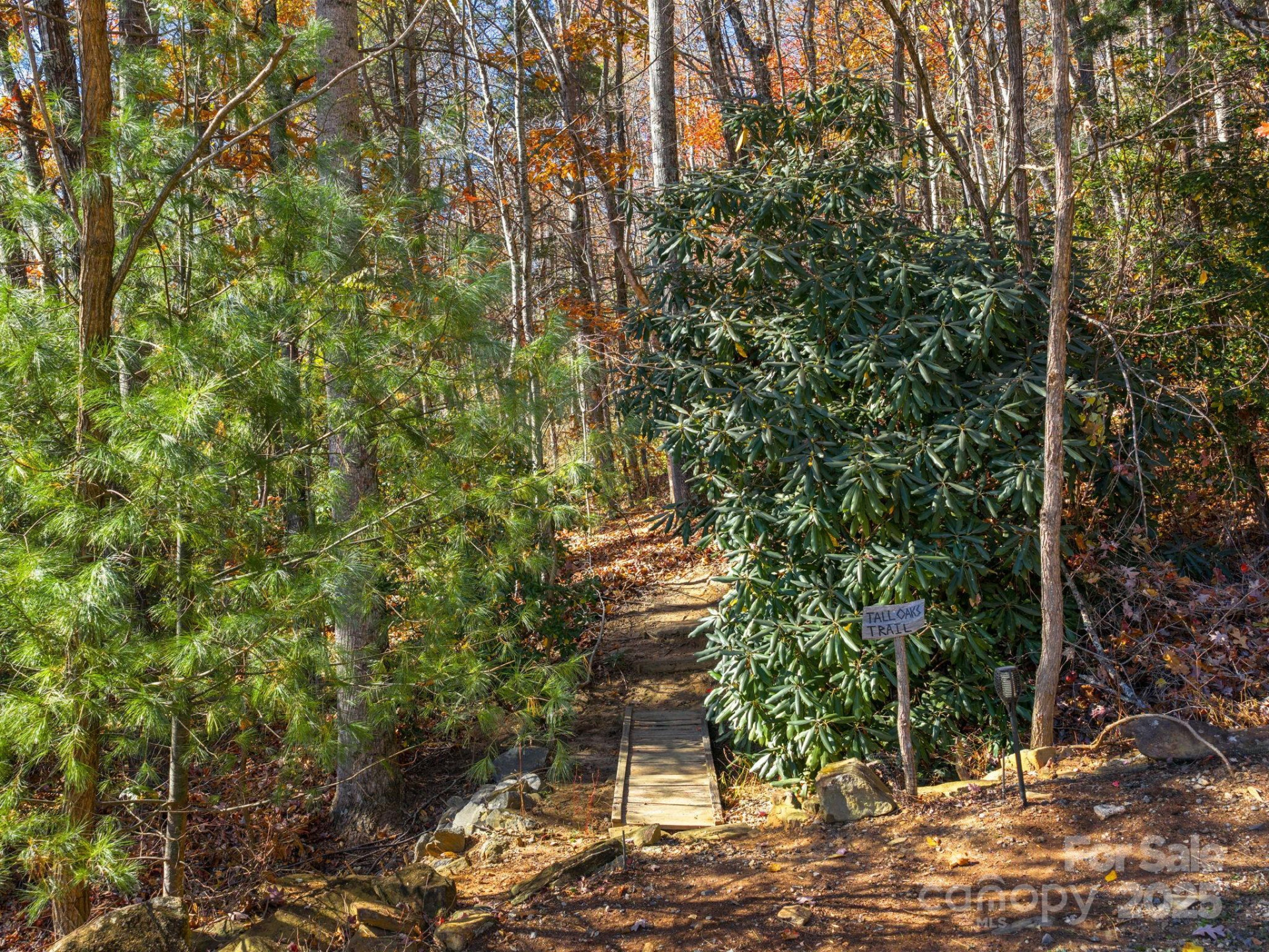 17 Wild Wind Trail - Photo 44