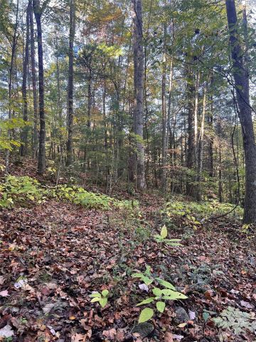 9999 Fox Town Road, Hot Springs, NC, 28743