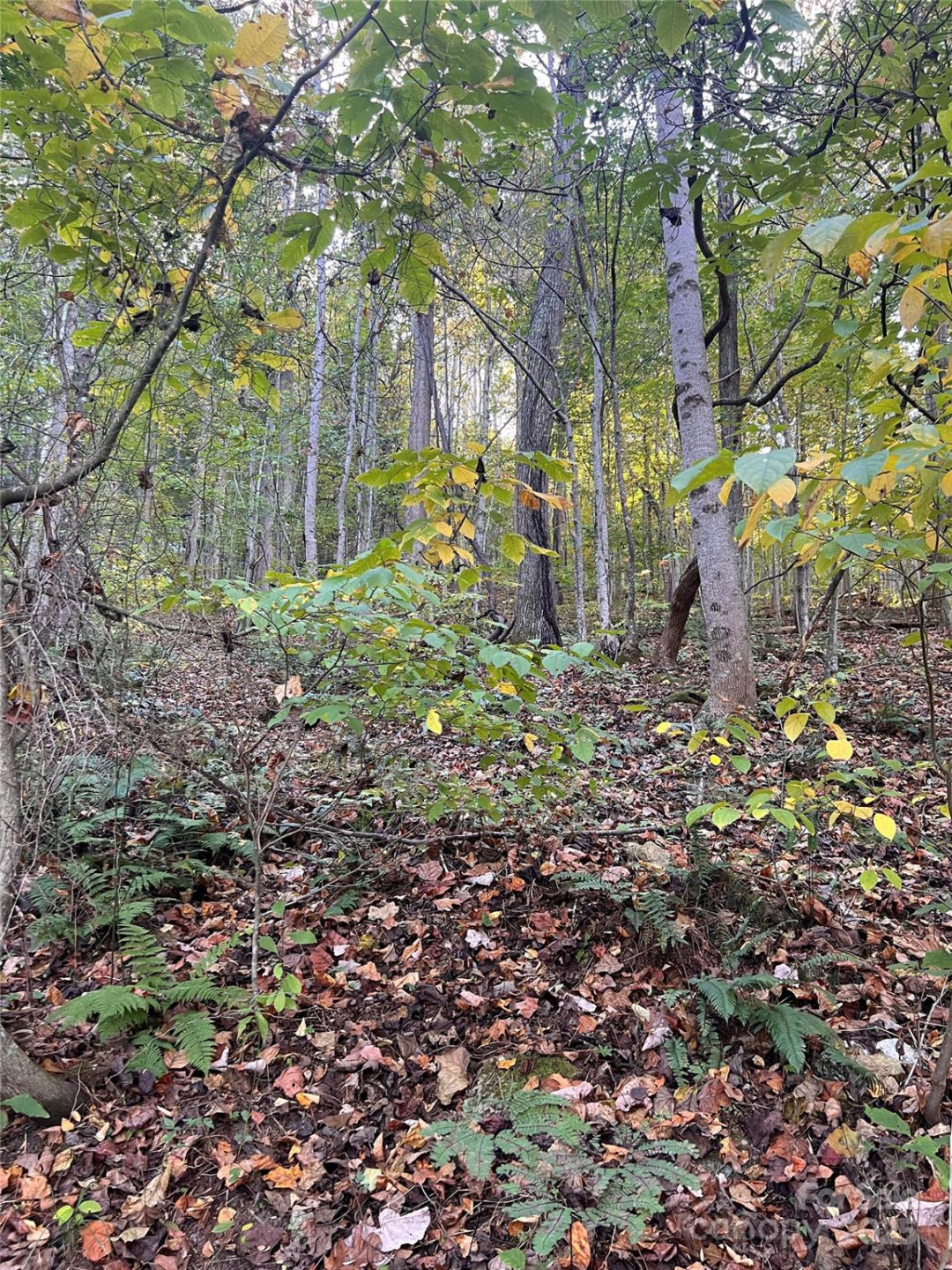 9999 Fox Town Road - Photo 2