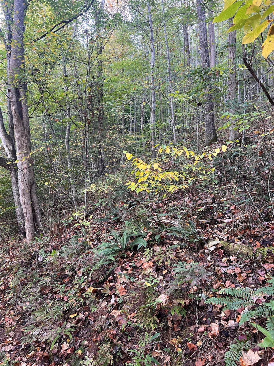 9999 Fox Town Road - Photo 3