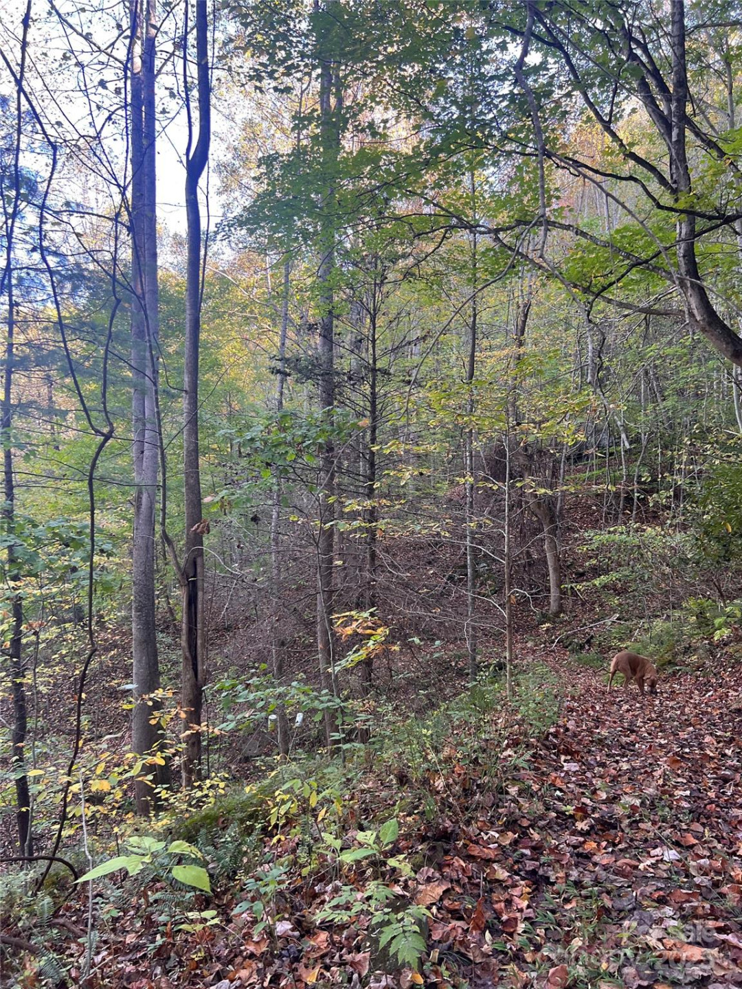 9999 Fox Town Road - Photo 4