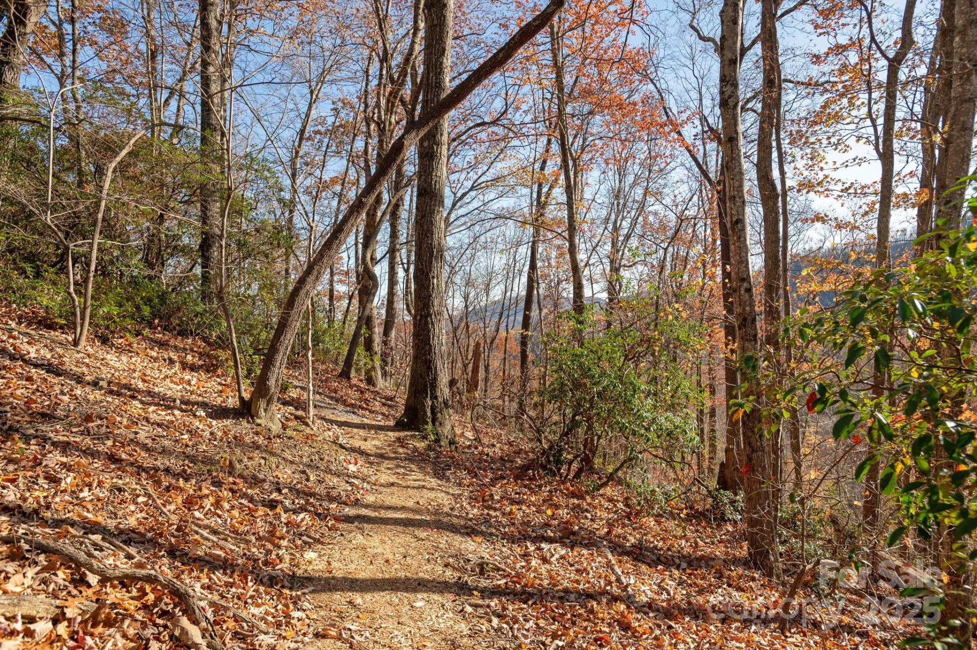 48 & 50 Wild Turkey Run - Photo 41
