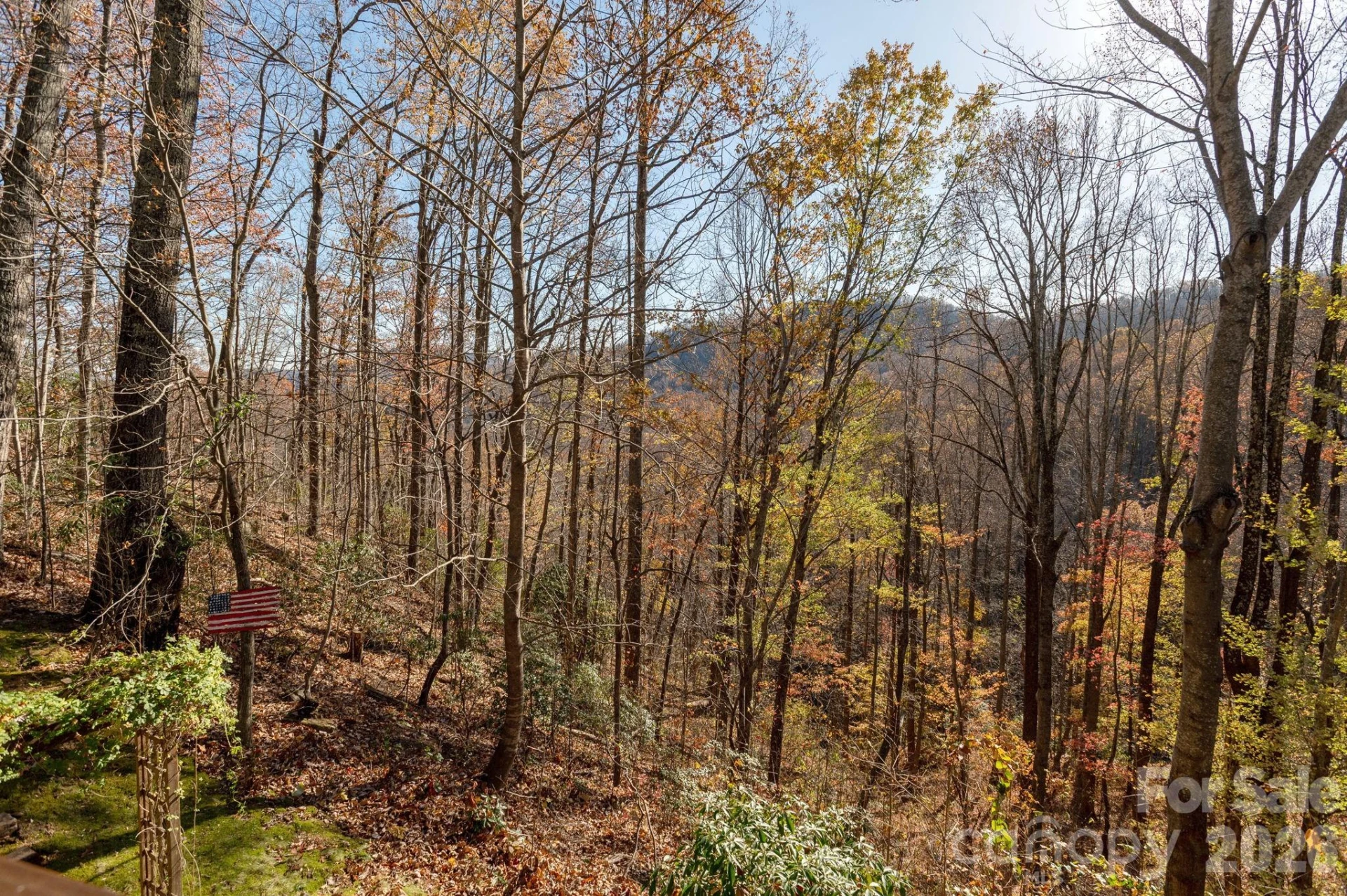 48 & 50 Wild Turkey Run - Photo 15