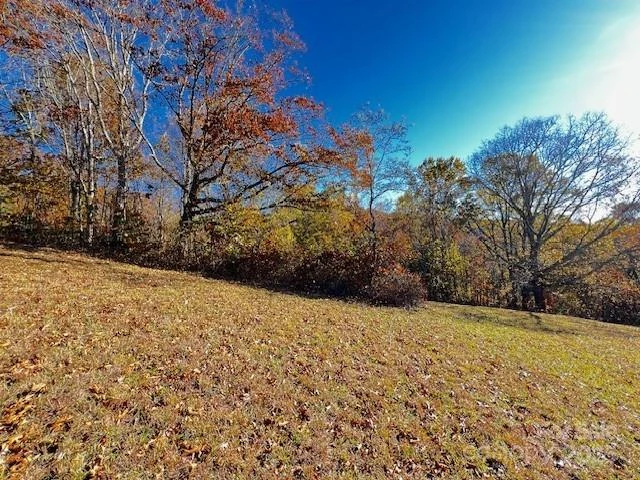 Lot 117 Autumn Sky Drive - Photo 4