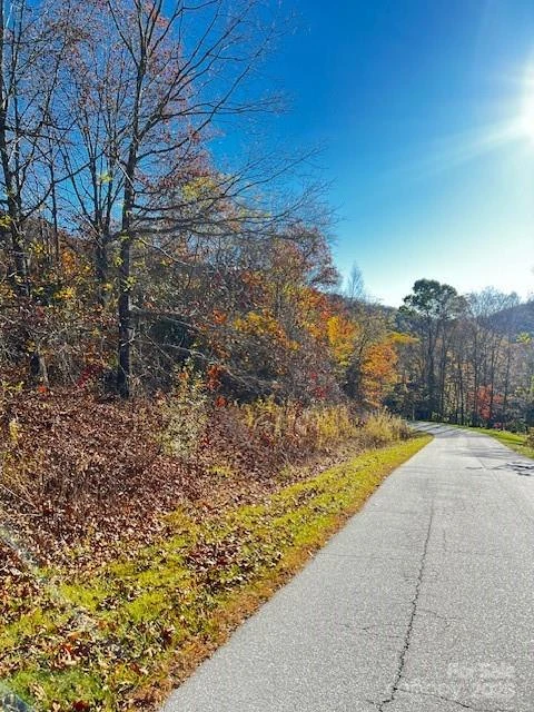 Lot 117 Autumn Sky Drive - Photo 9
