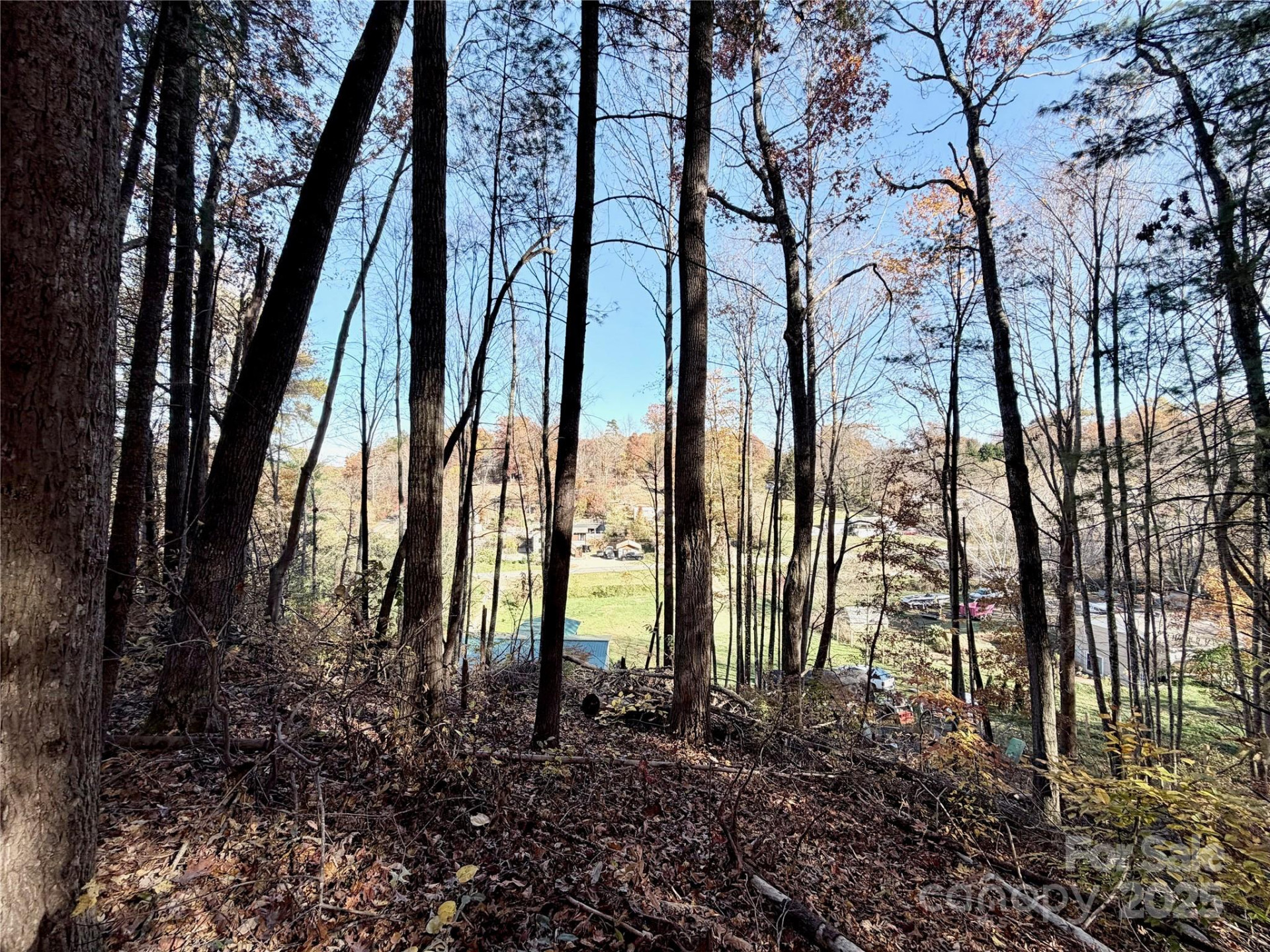 99999 Dix Creek No 1 Road - Photo 11