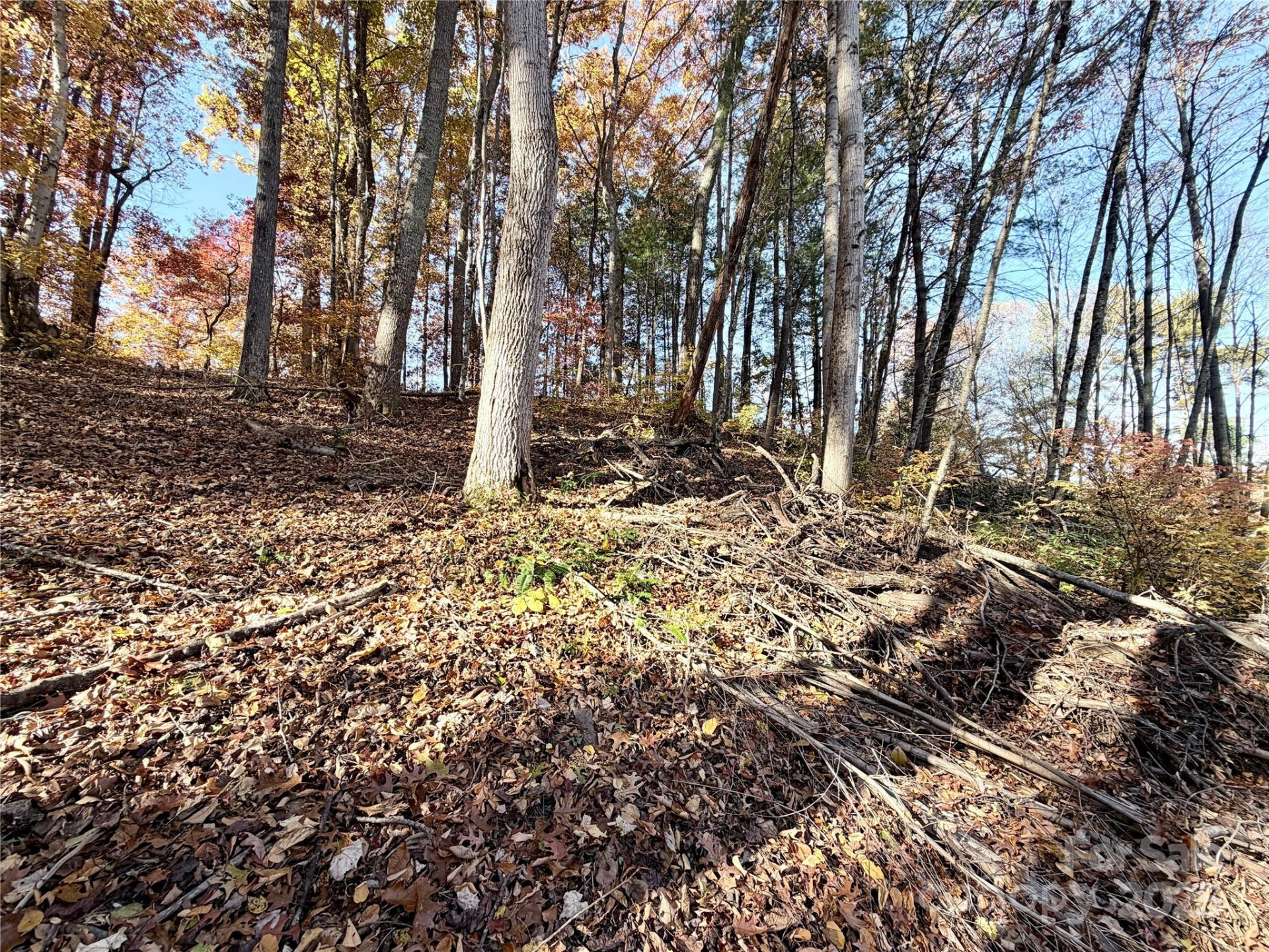 99999 Dix Creek No 1 Road - Photo 14