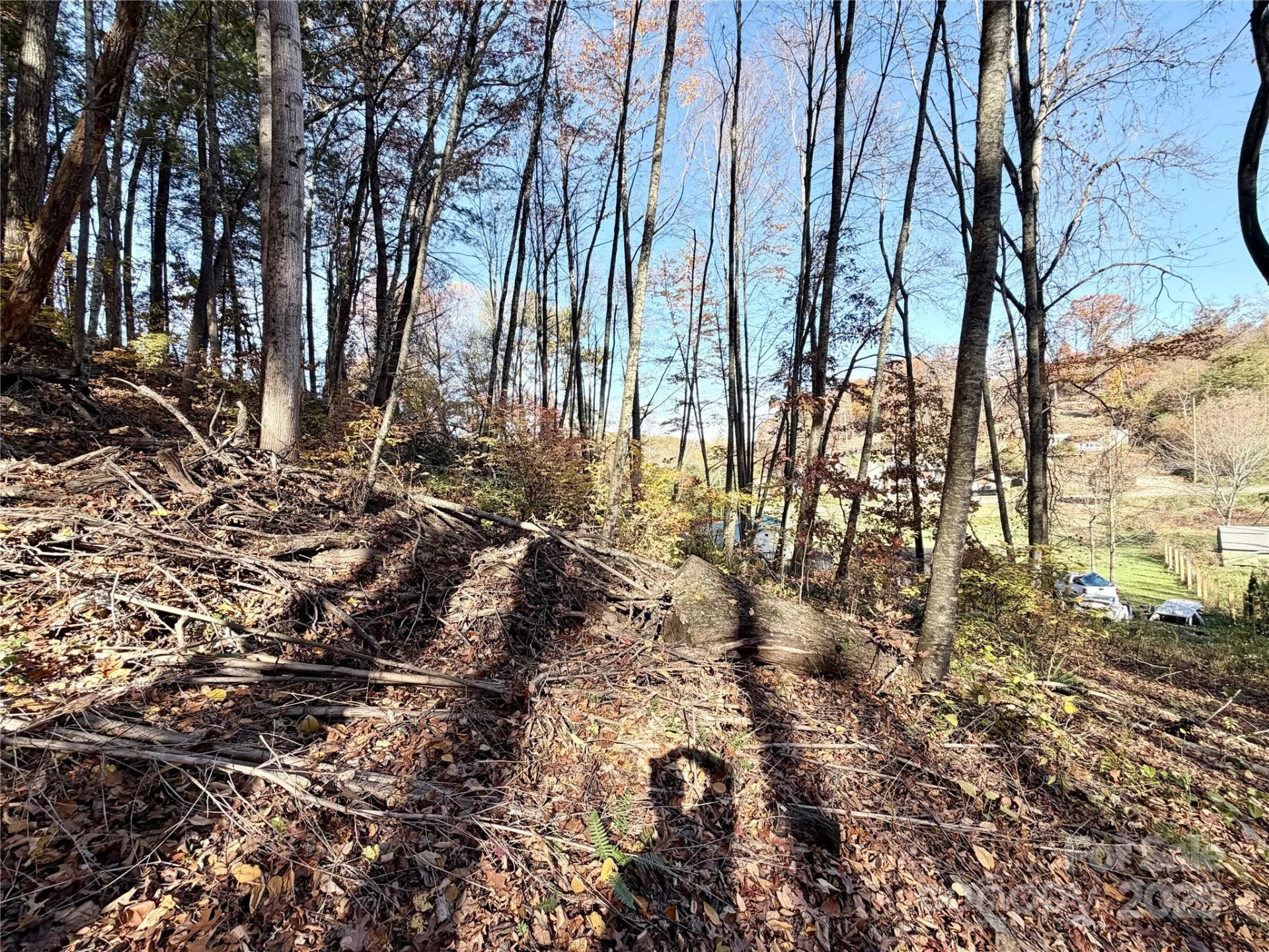 99999 Dix Creek No 1 Road - Photo 15