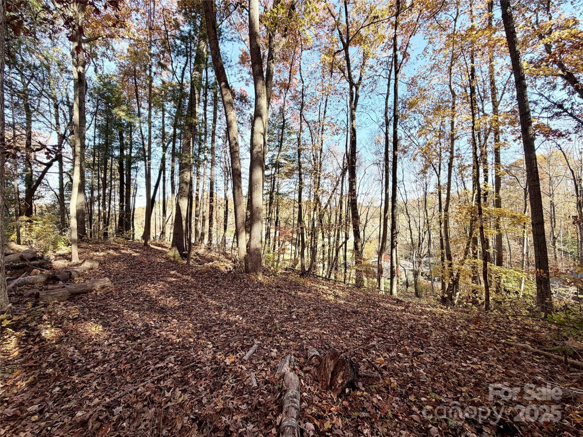 99999 Dix Creek No 1 Road - Photo 16