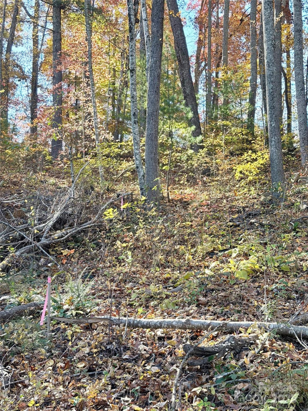 99999 Dix Creek No 1 Road - Photo 18