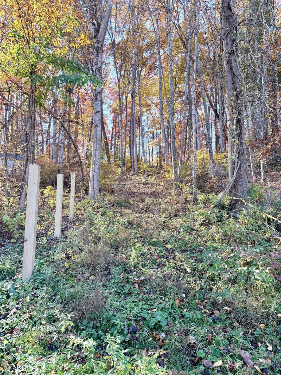 99999 Dix Creek No 1 Road - Photo 3