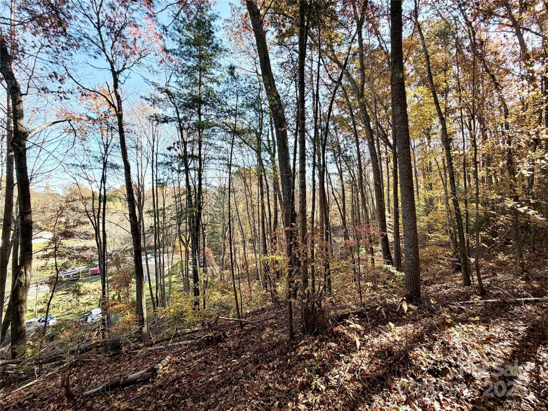 99999 Dix Creek No 1 Road - Photo 5