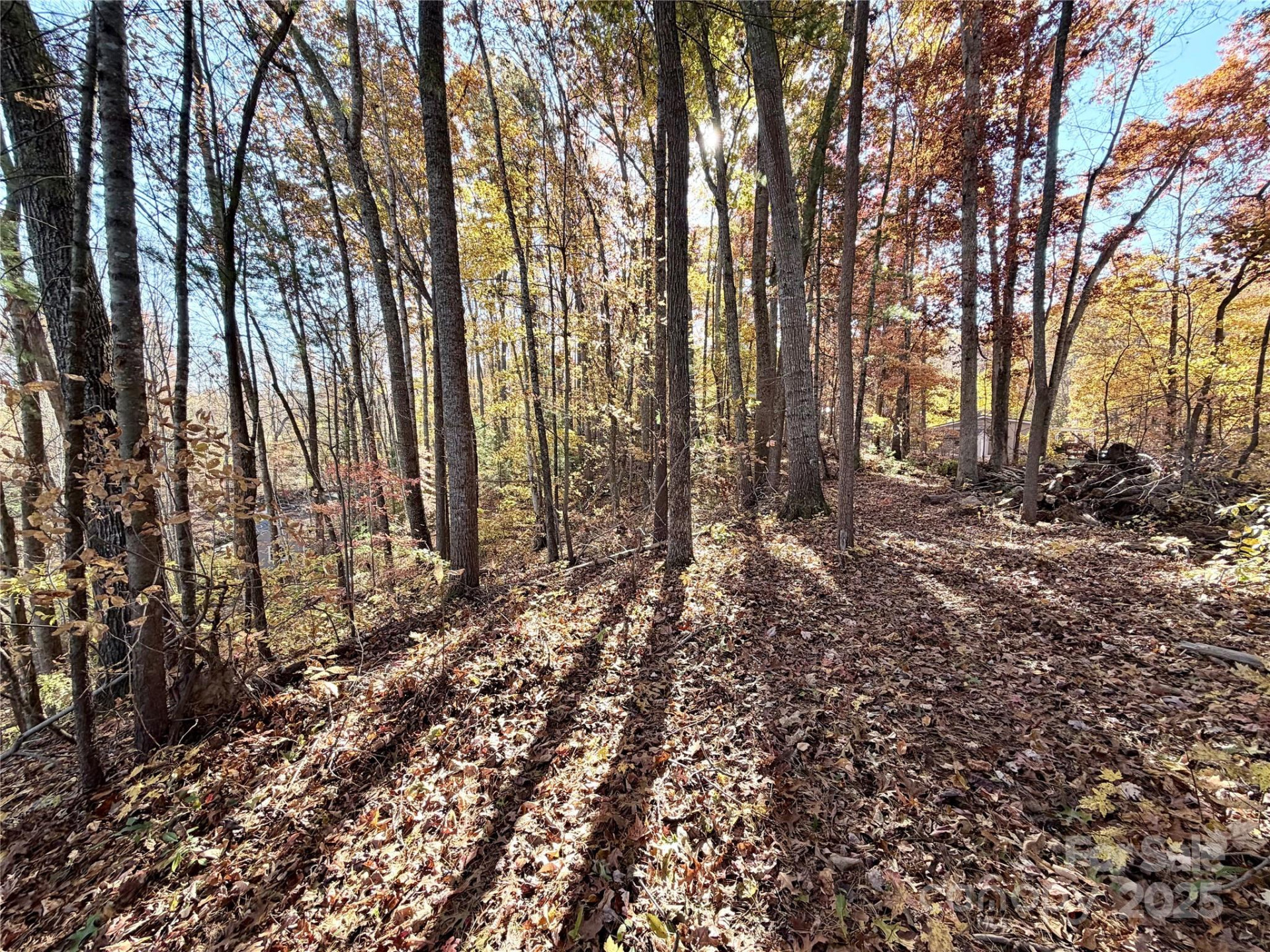 99999 Dix Creek No 1 Road - Photo 6