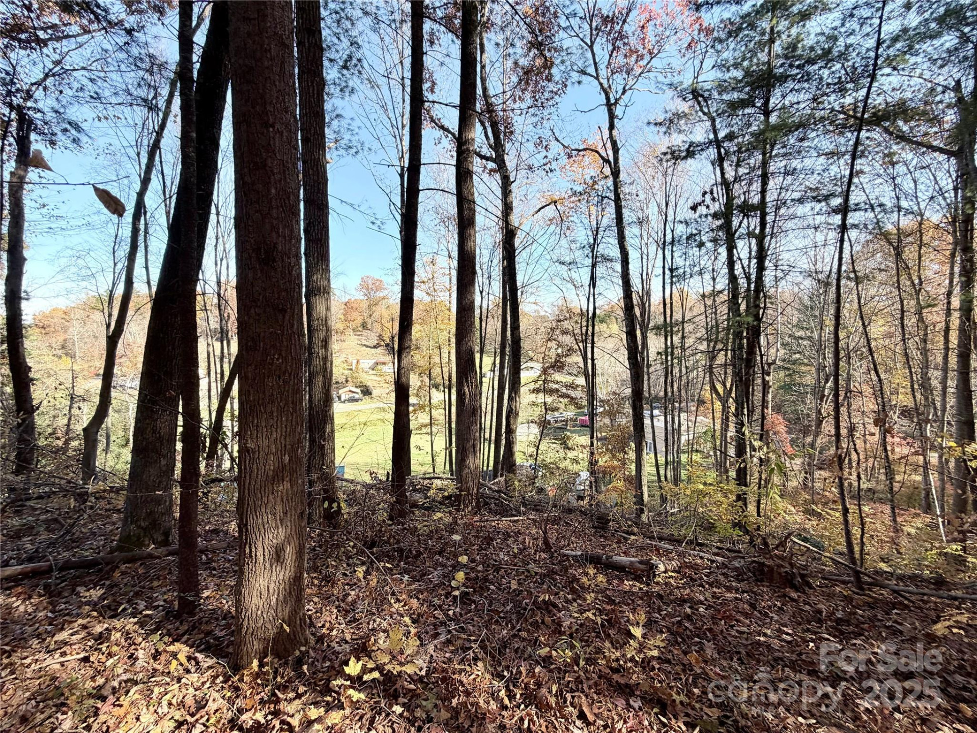 99999 Dix Creek No 1 Road - Photo 7