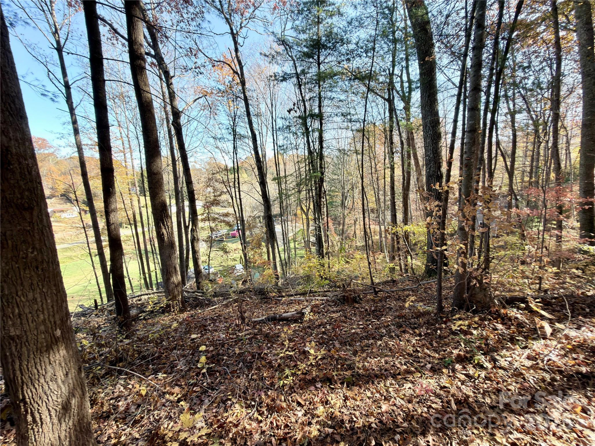 99999 Dix Creek No 1 Road - Photo 8