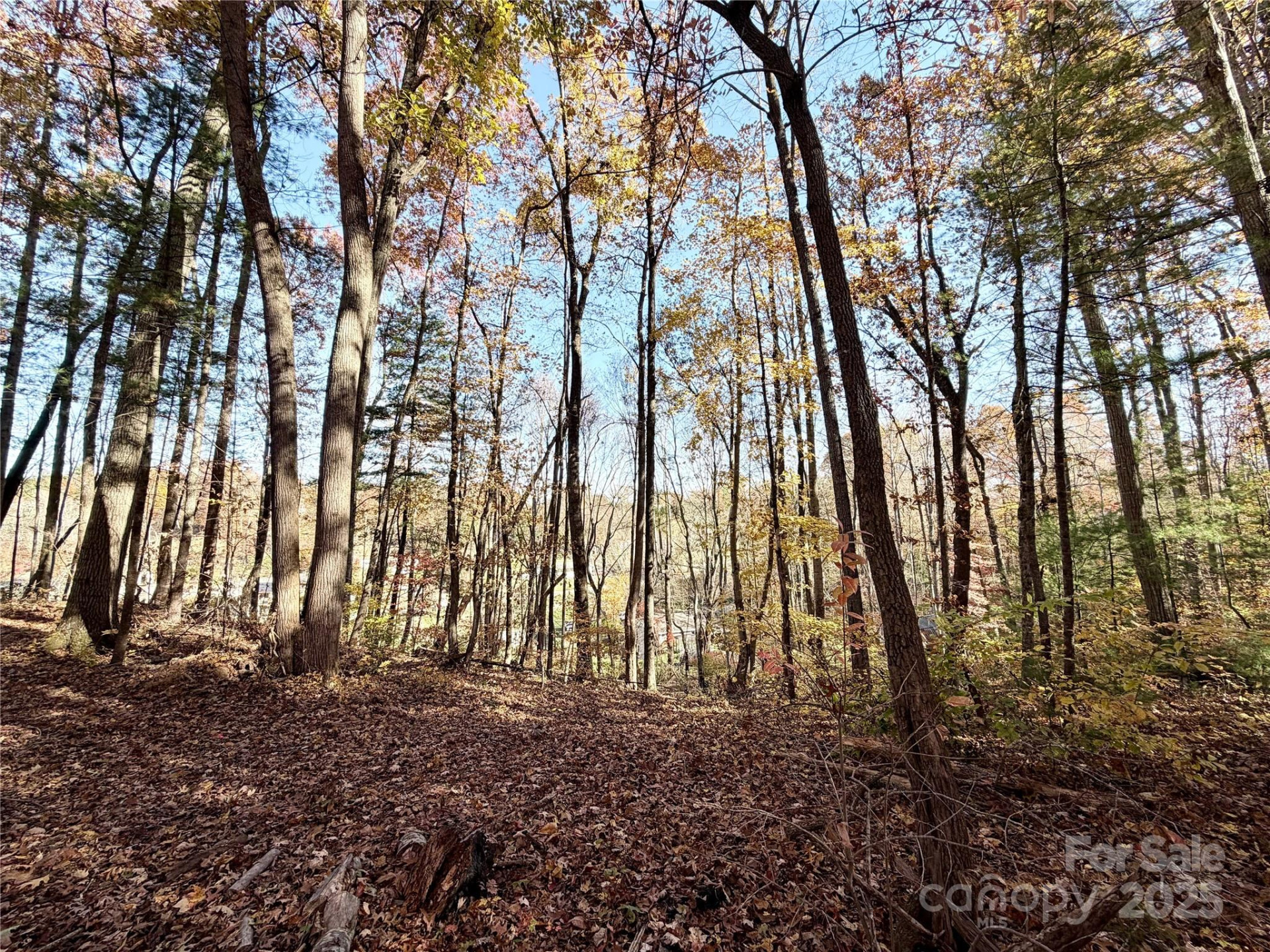 99999 Dix Creek No 1 Road - Photo 9