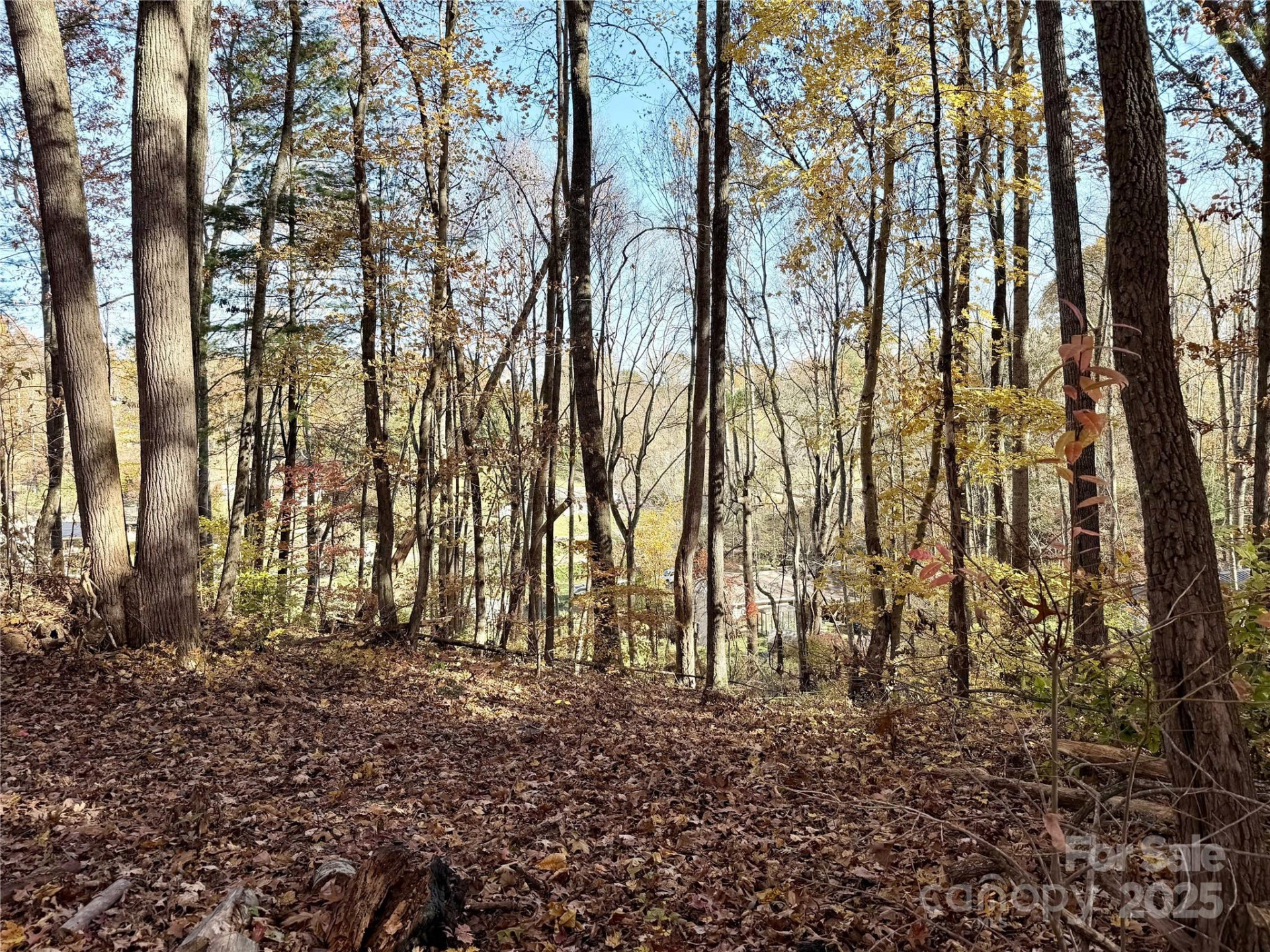 99999 Dix Creek No 1 Road - Photo 10