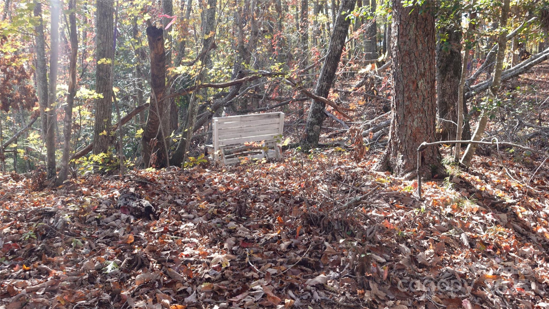 00 Lytle Mountain Road - Photo 2