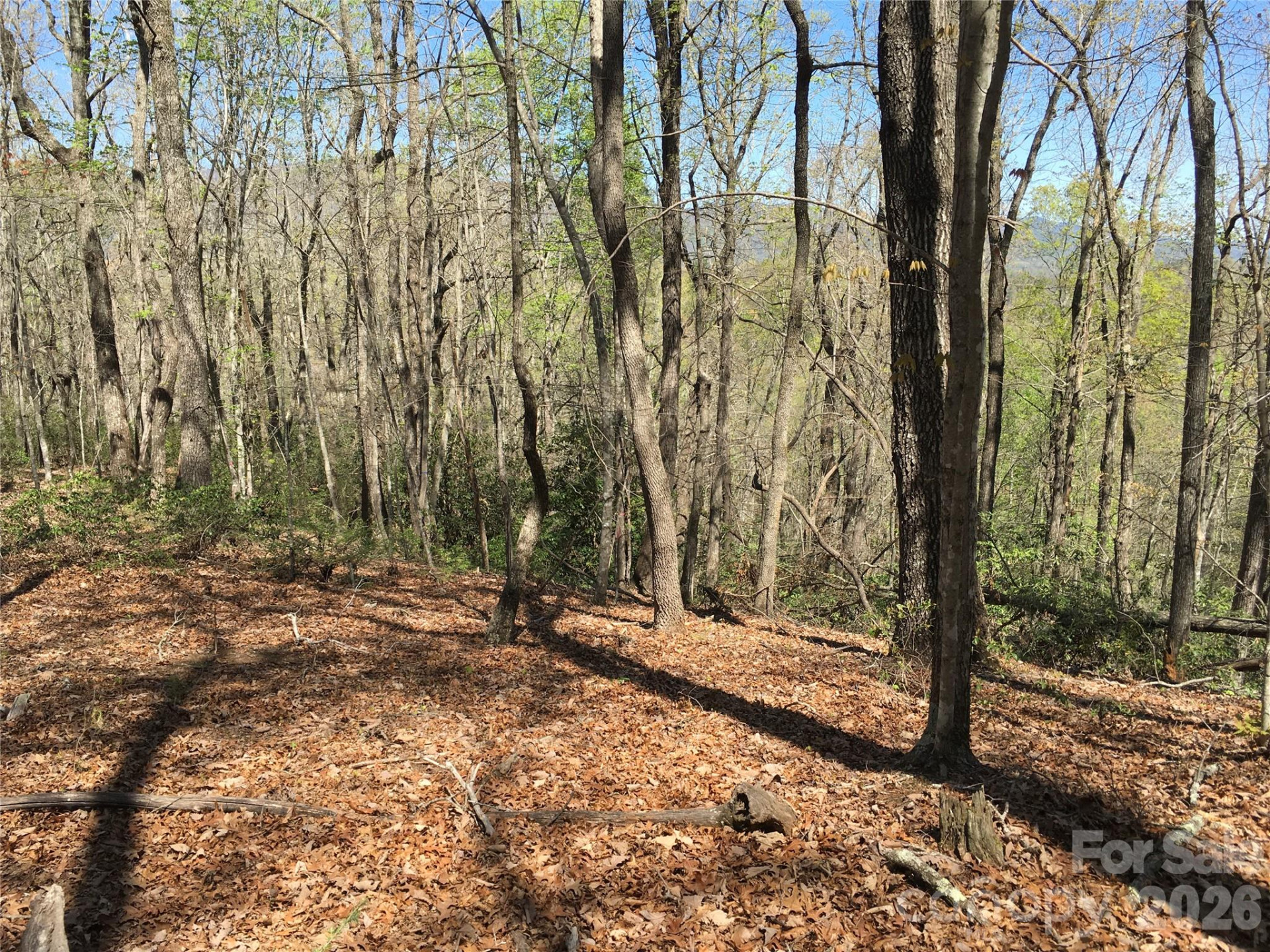 00 Lytle Mountain Road - Photo 23