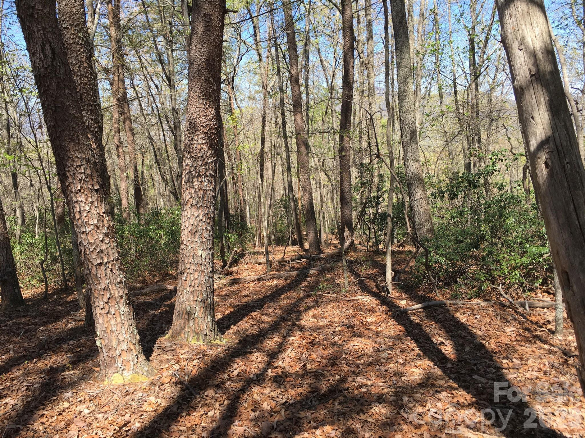 00 Lytle Mountain Road - Photo 24