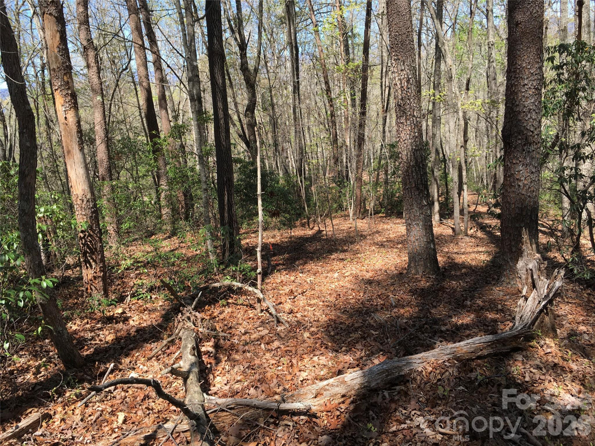 00 Lytle Mountain Road - Photo 25