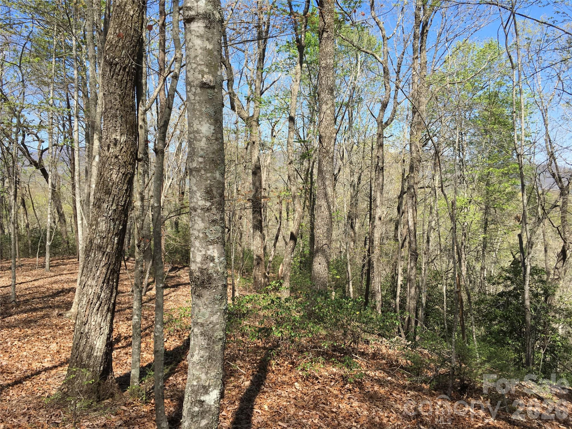 00 Lytle Mountain Road - Photo 26