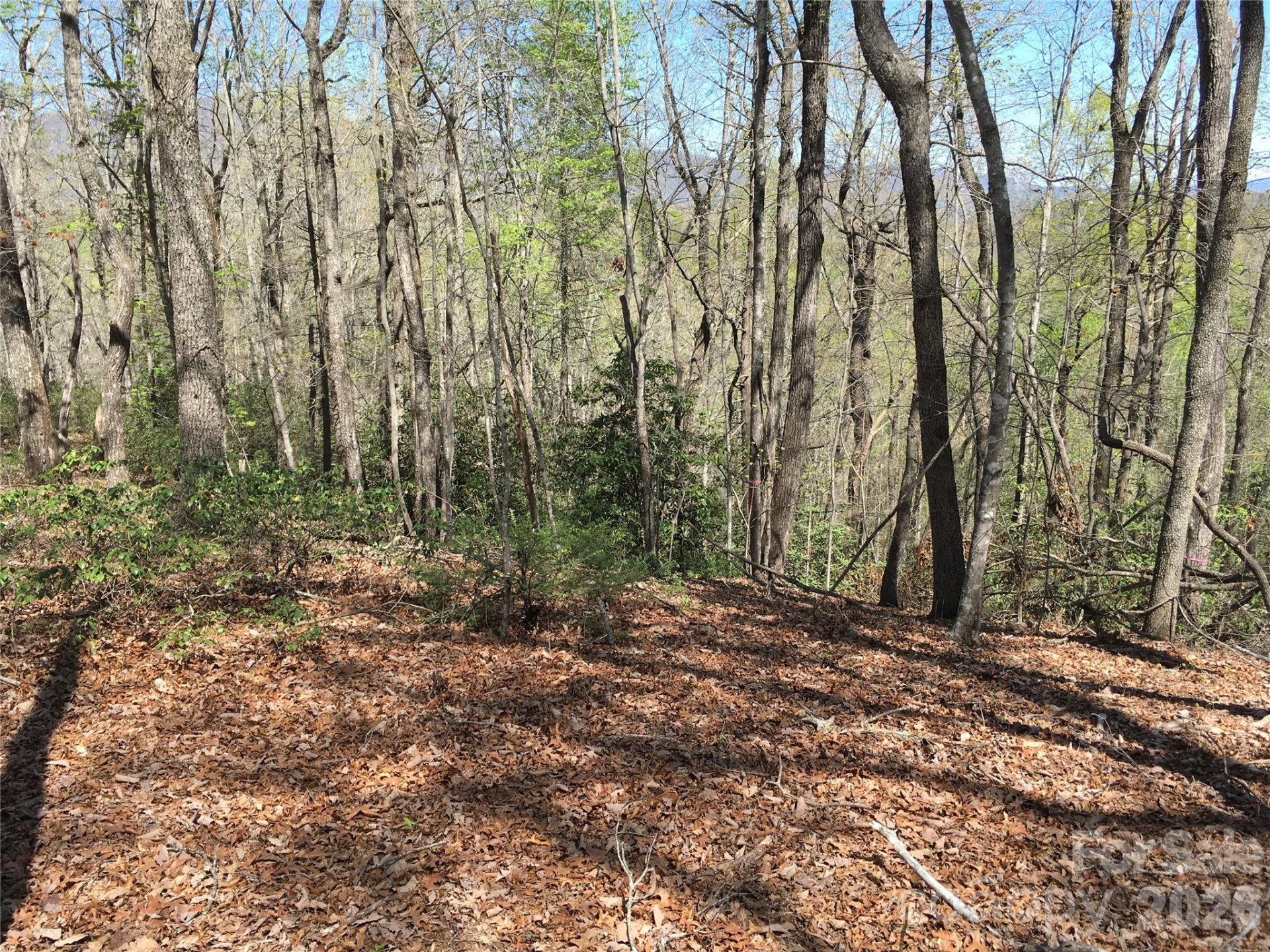 00 Lytle Mountain Road - Photo 27