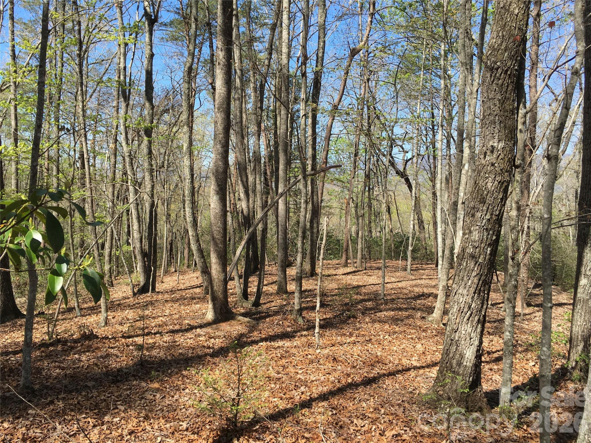 00 Lytle Mountain Road - Photo 28