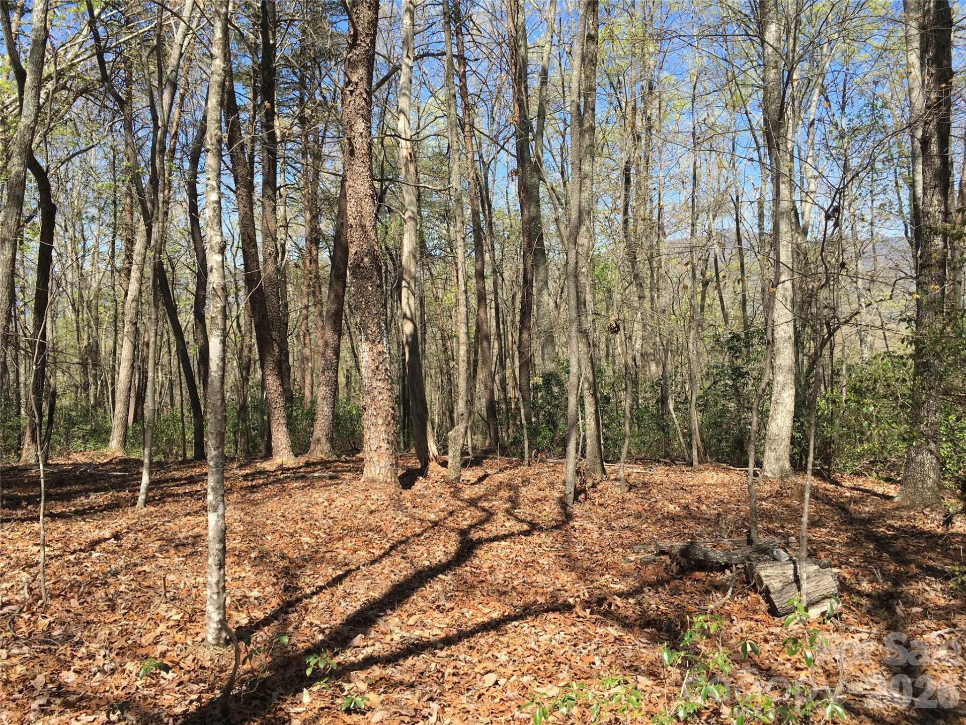 00 Lytle Mountain Road - Photo 29