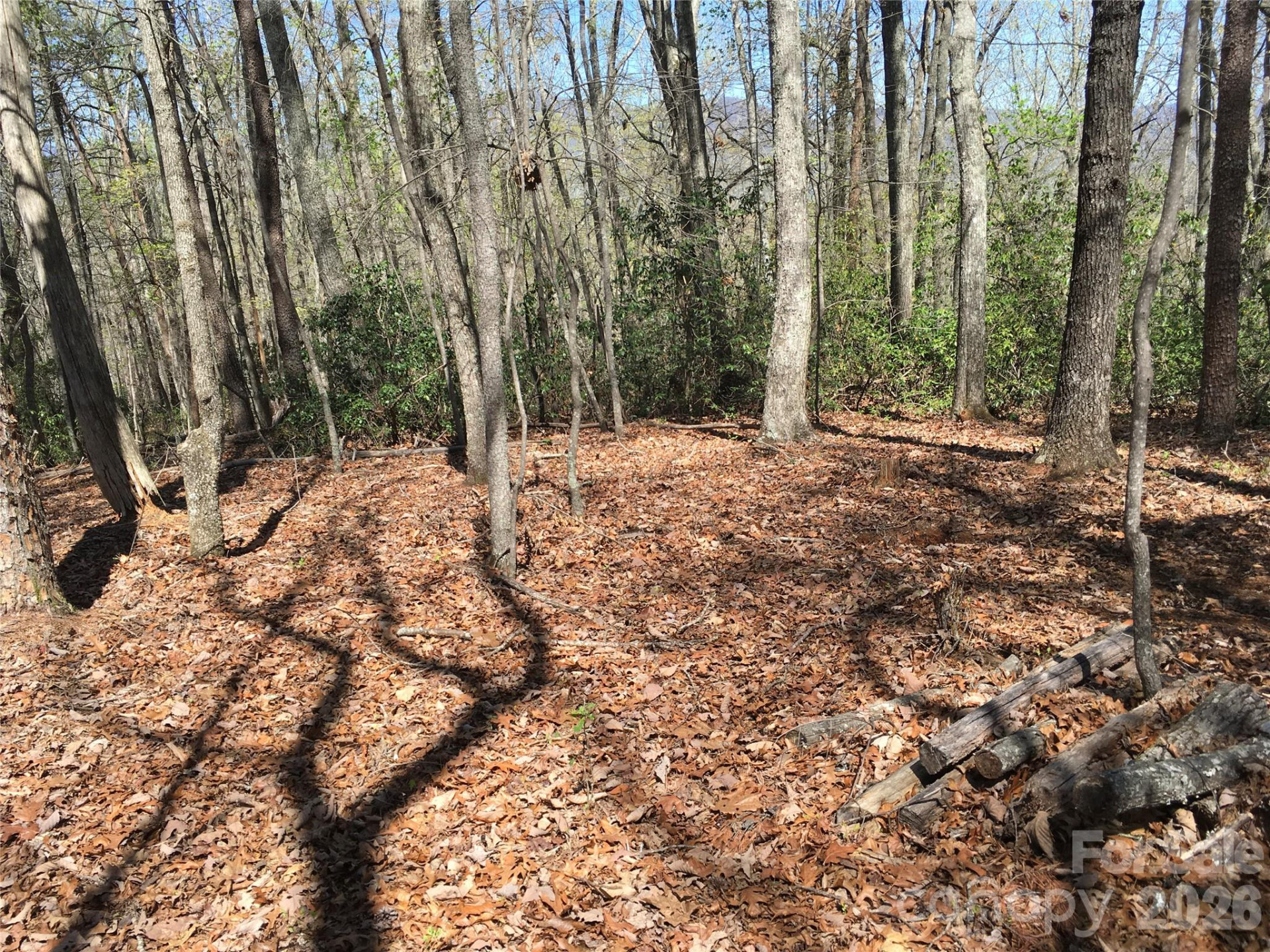 00 Lytle Mountain Road - Photo 30