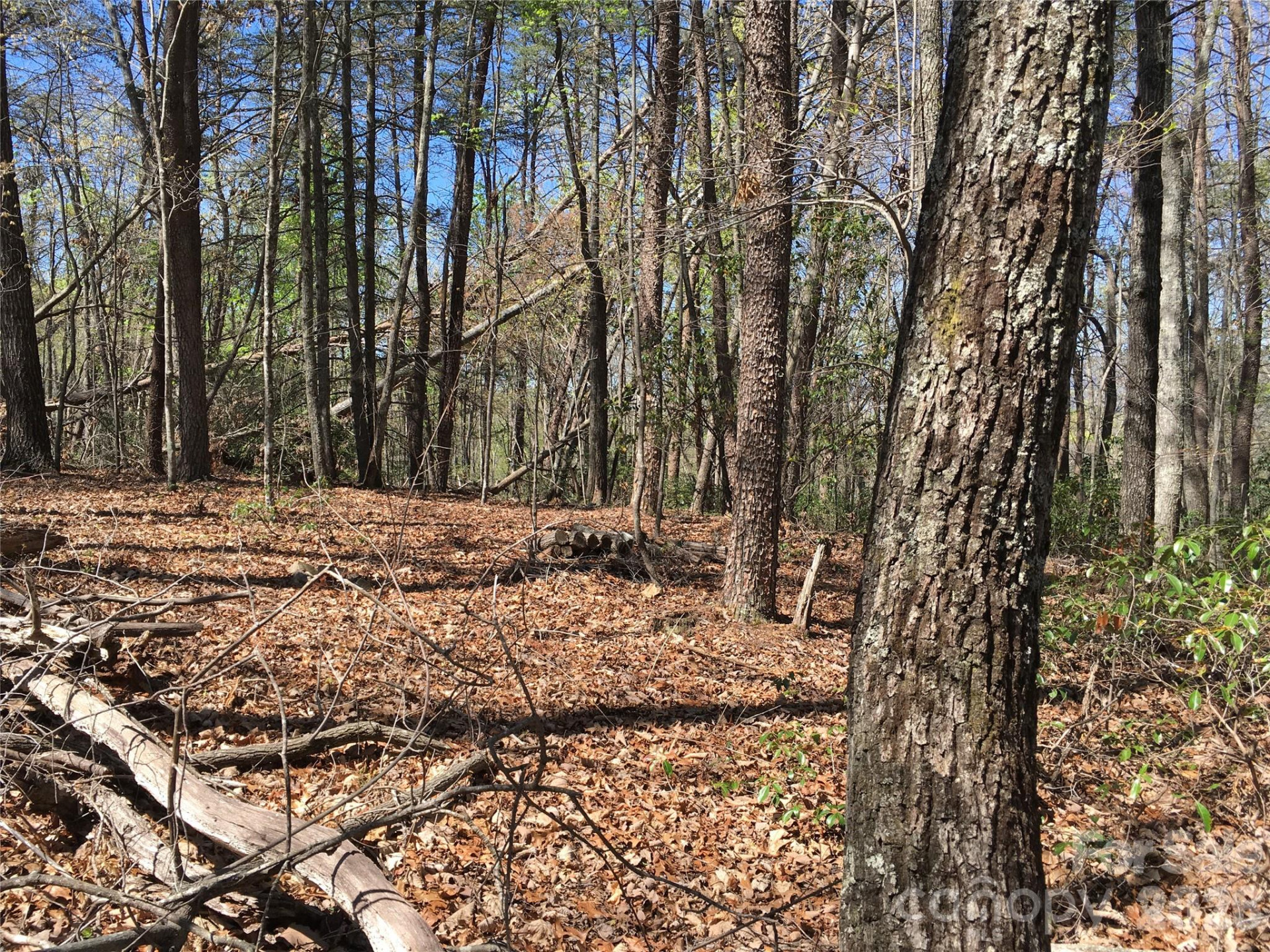 00 Lytle Mountain Road - Photo 31