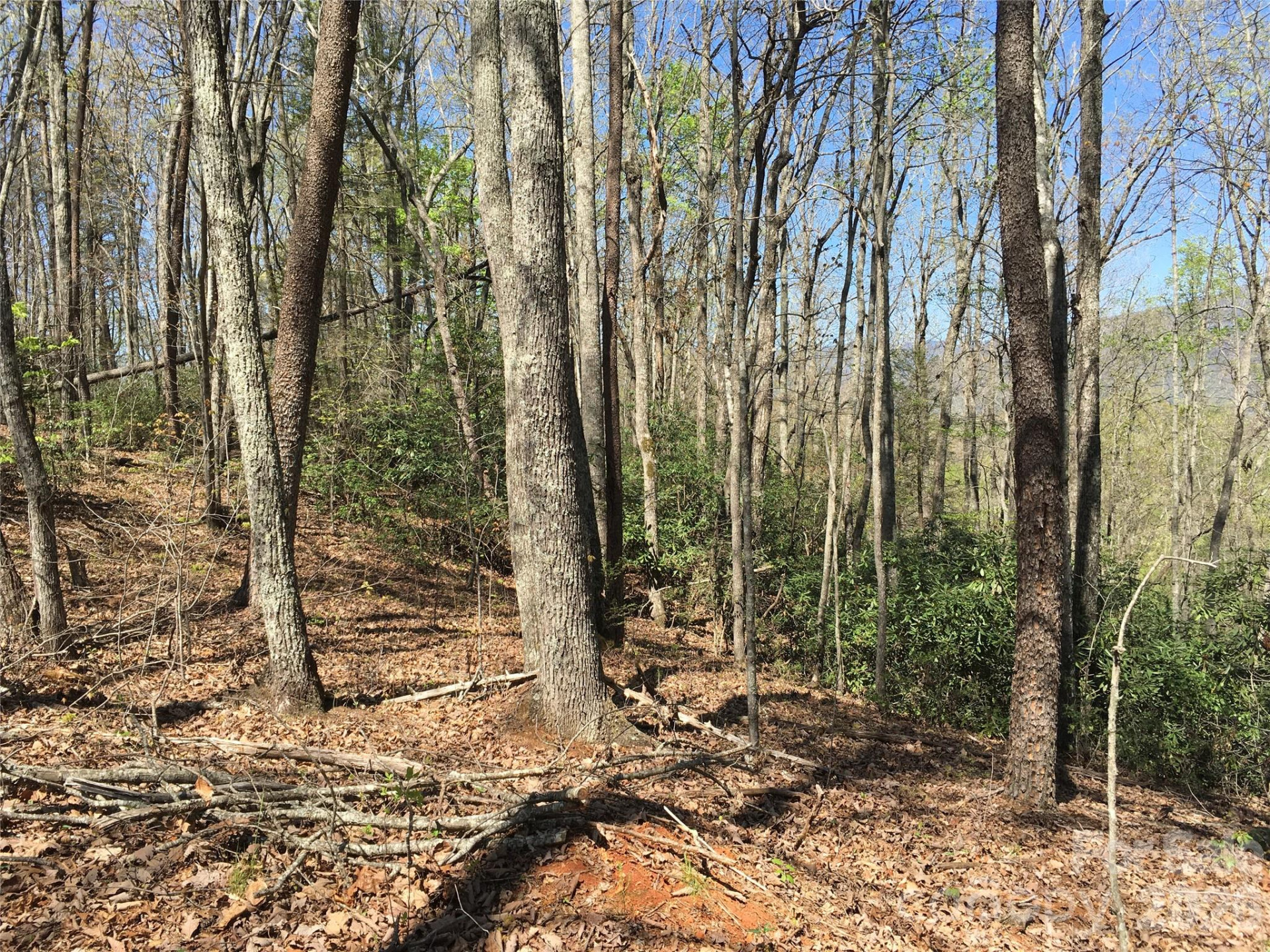 00 Lytle Mountain Road - Photo 32