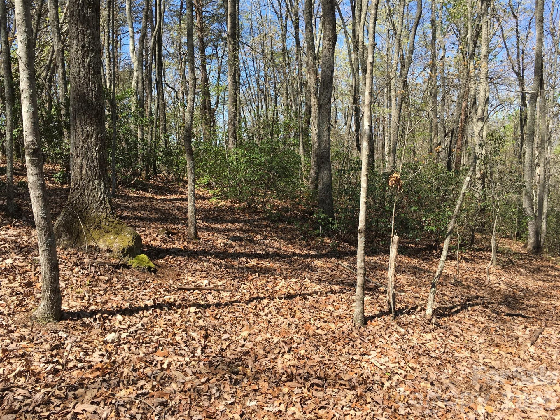 00 Lytle Mountain Road - Photo 34