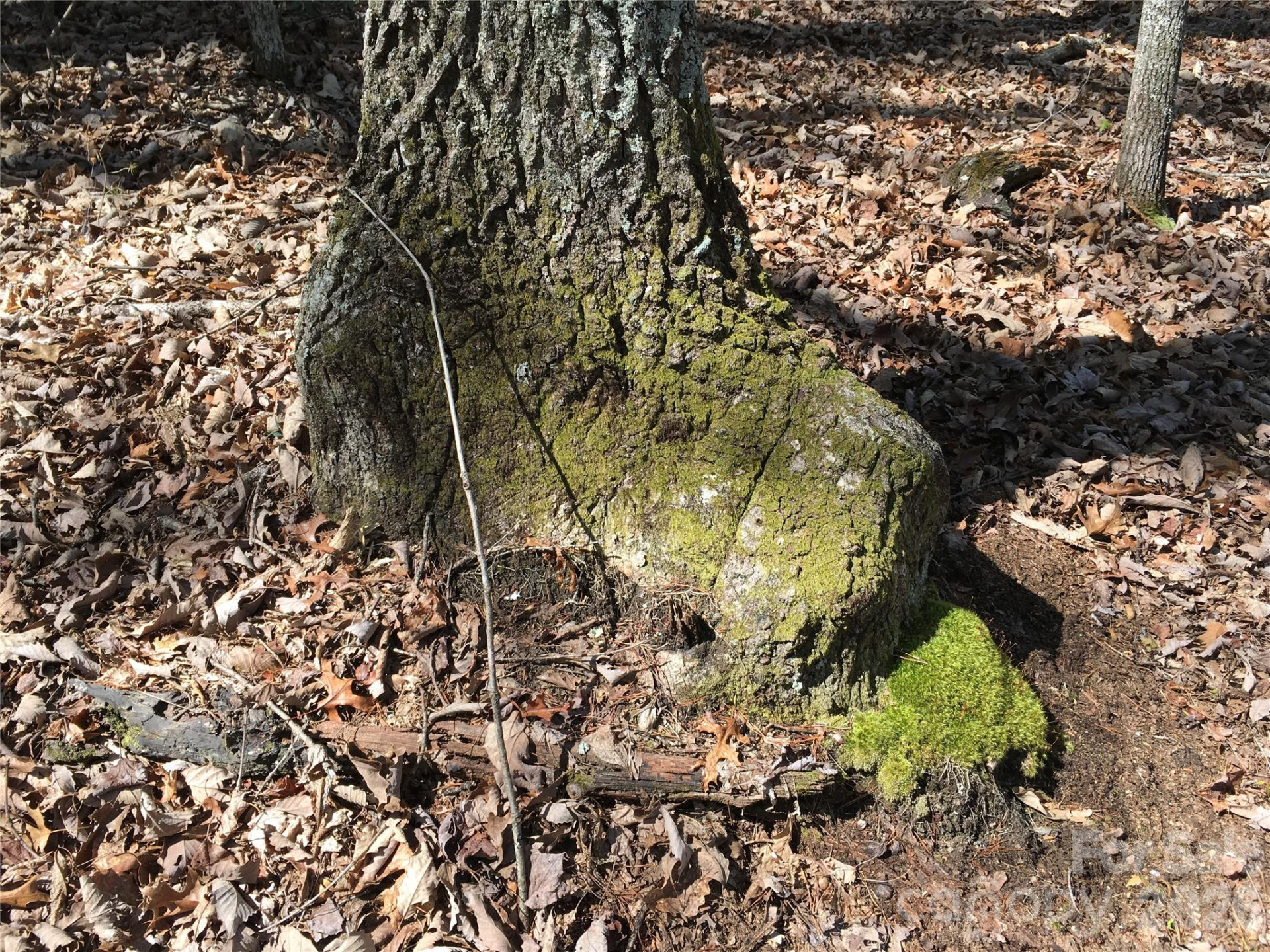 00 Lytle Mountain Road - Photo 35