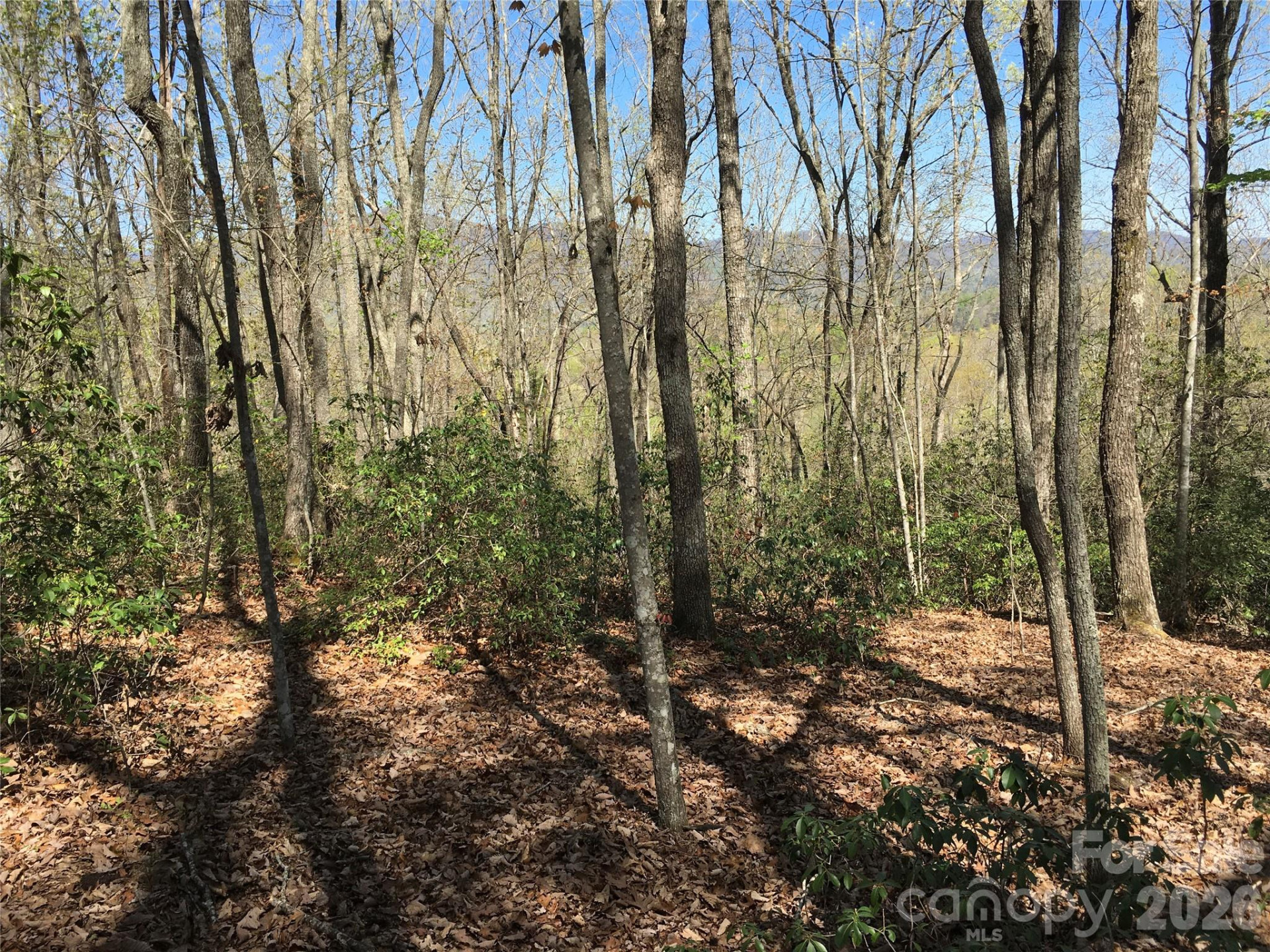 00 Lytle Mountain Road - Photo 36